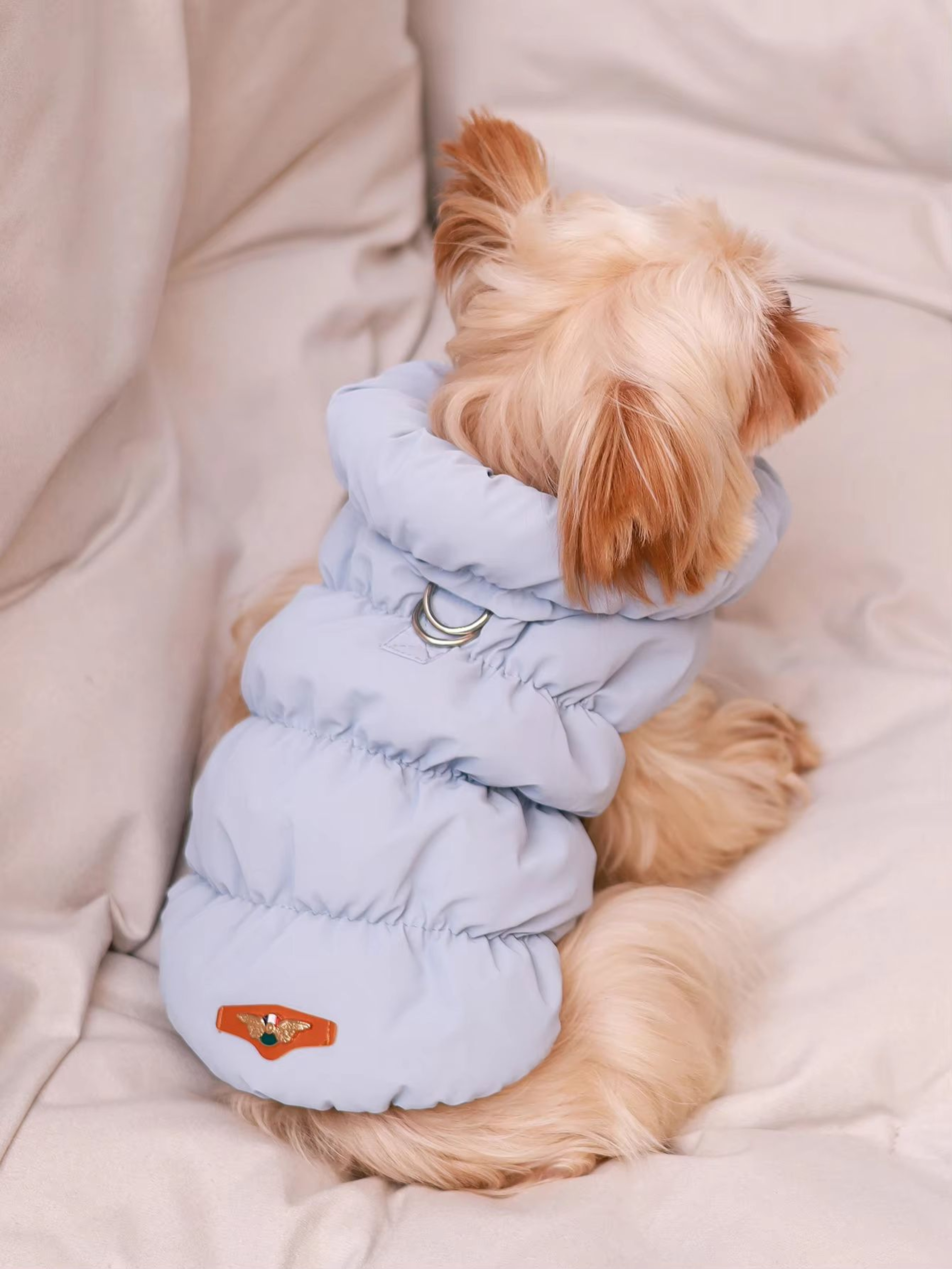 CozyShield 3 Layer Dog Jacket For Small And Medium Dogs 9