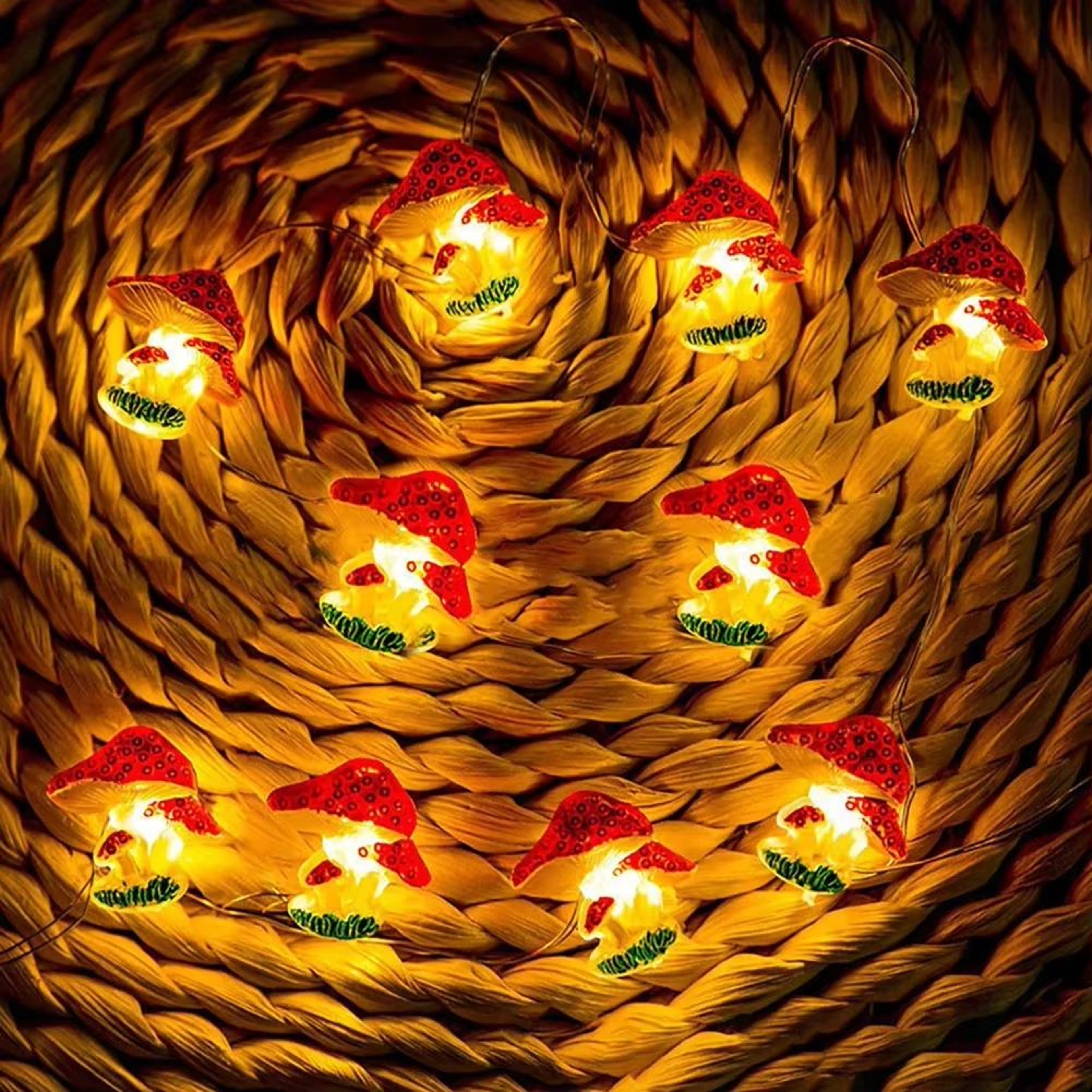 Mushroom LED Fairy String Lights Battery Powered Copper Wire Decor 4