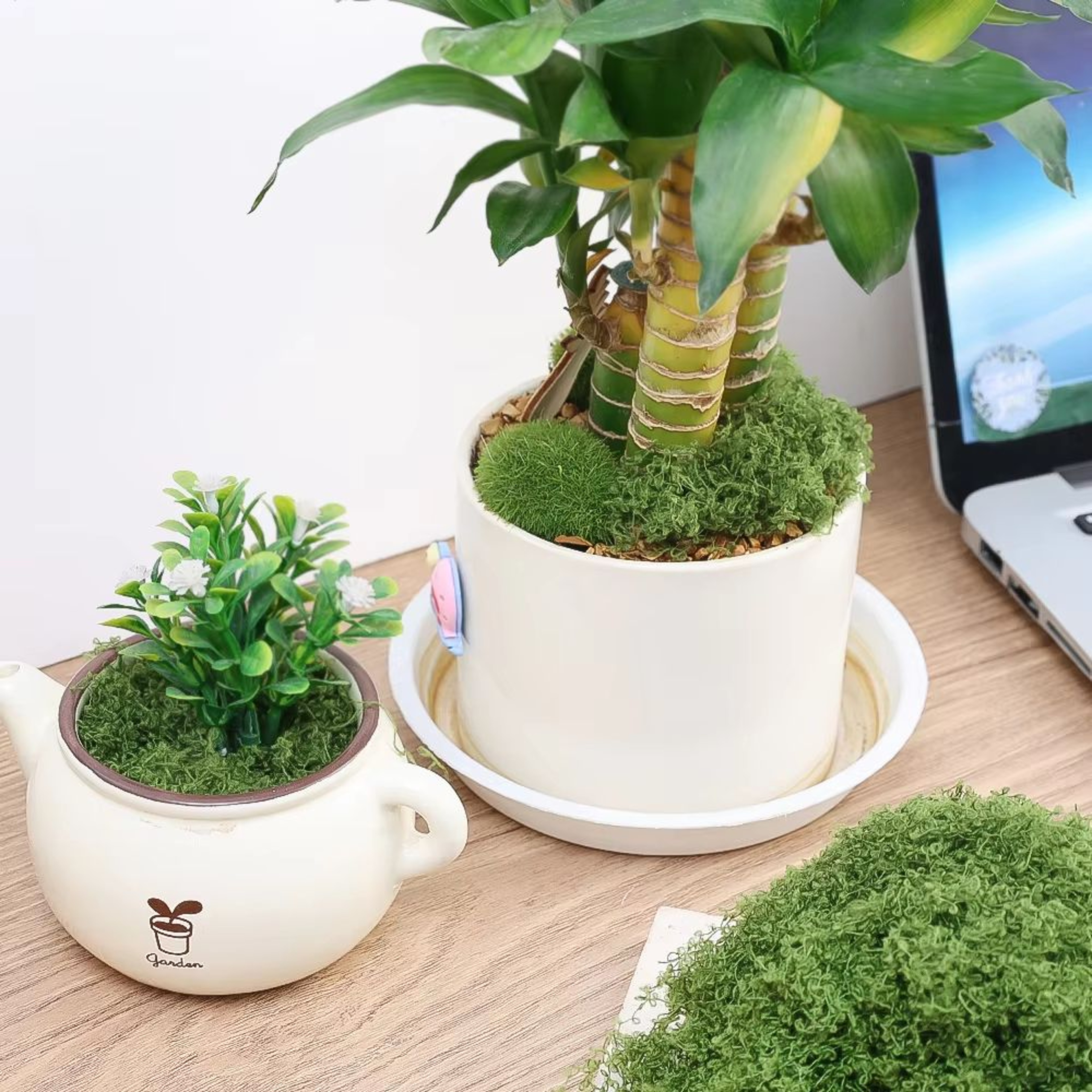 Artificial Moss Fake Grass For Crafts Mini Landscape Decor 2