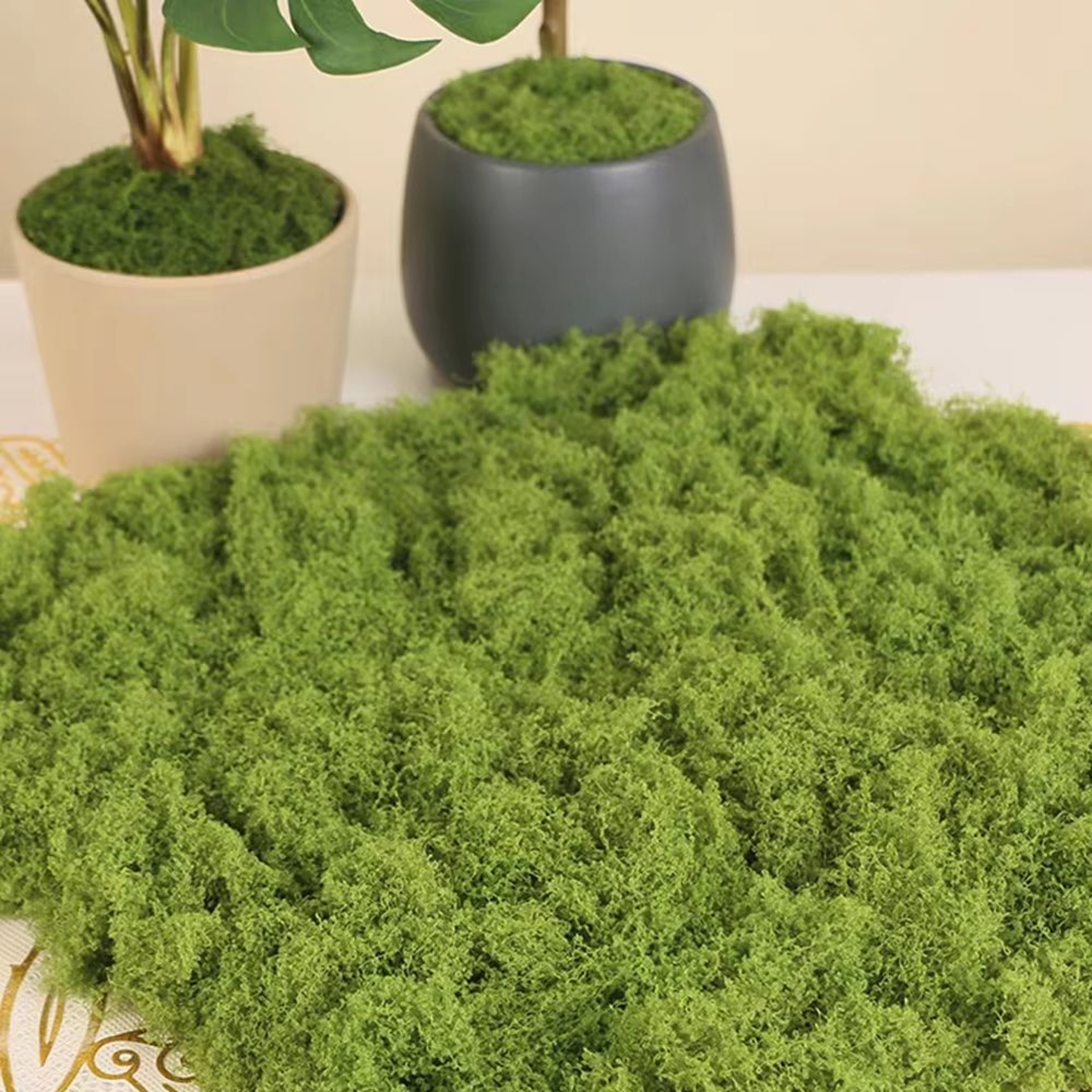 Artificial Moss Fake Grass For Crafts Mini Landscape Decor 3