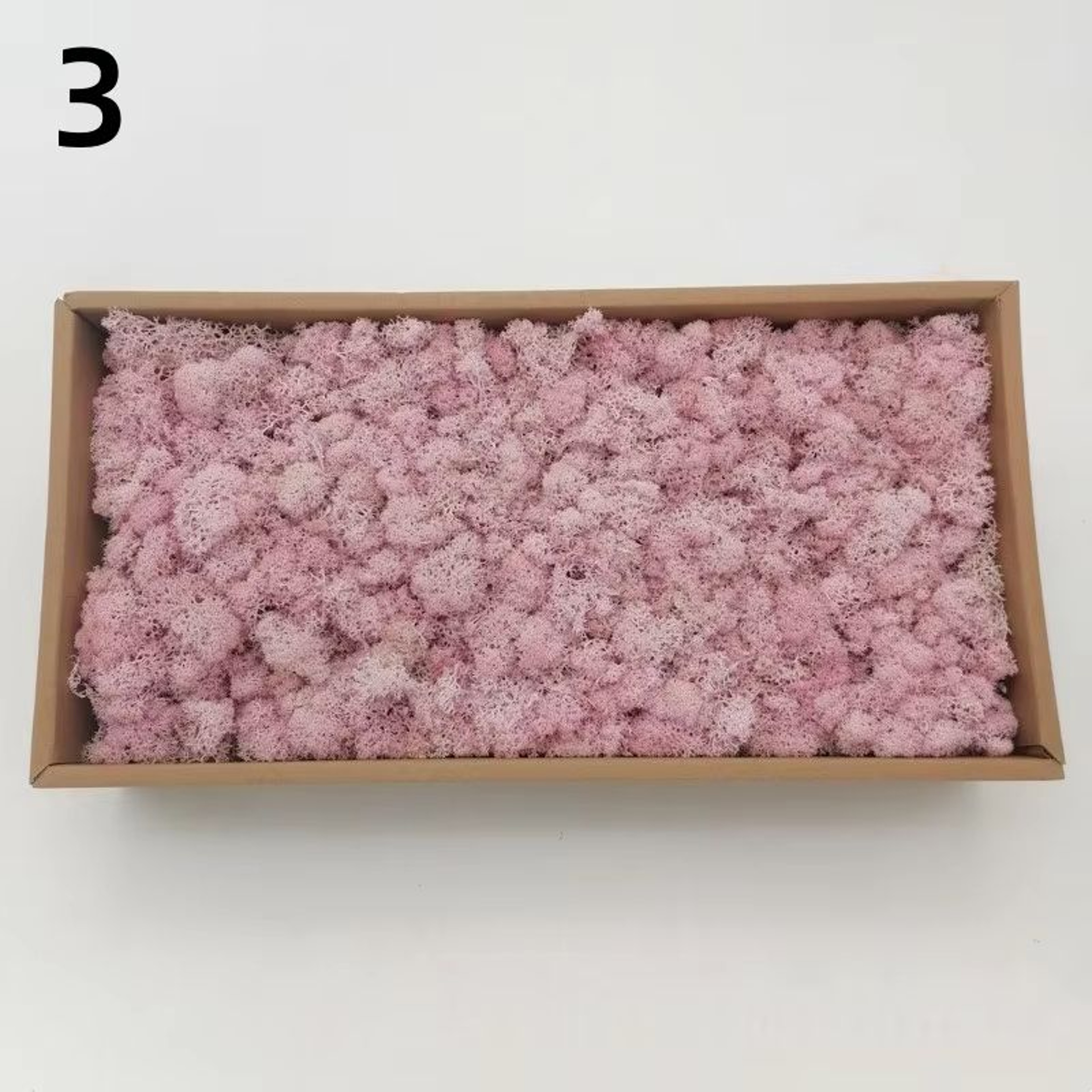 Natural Look Artificial Green Moss And Grass Set For Home Garden Decoration And DIY Crafts 9