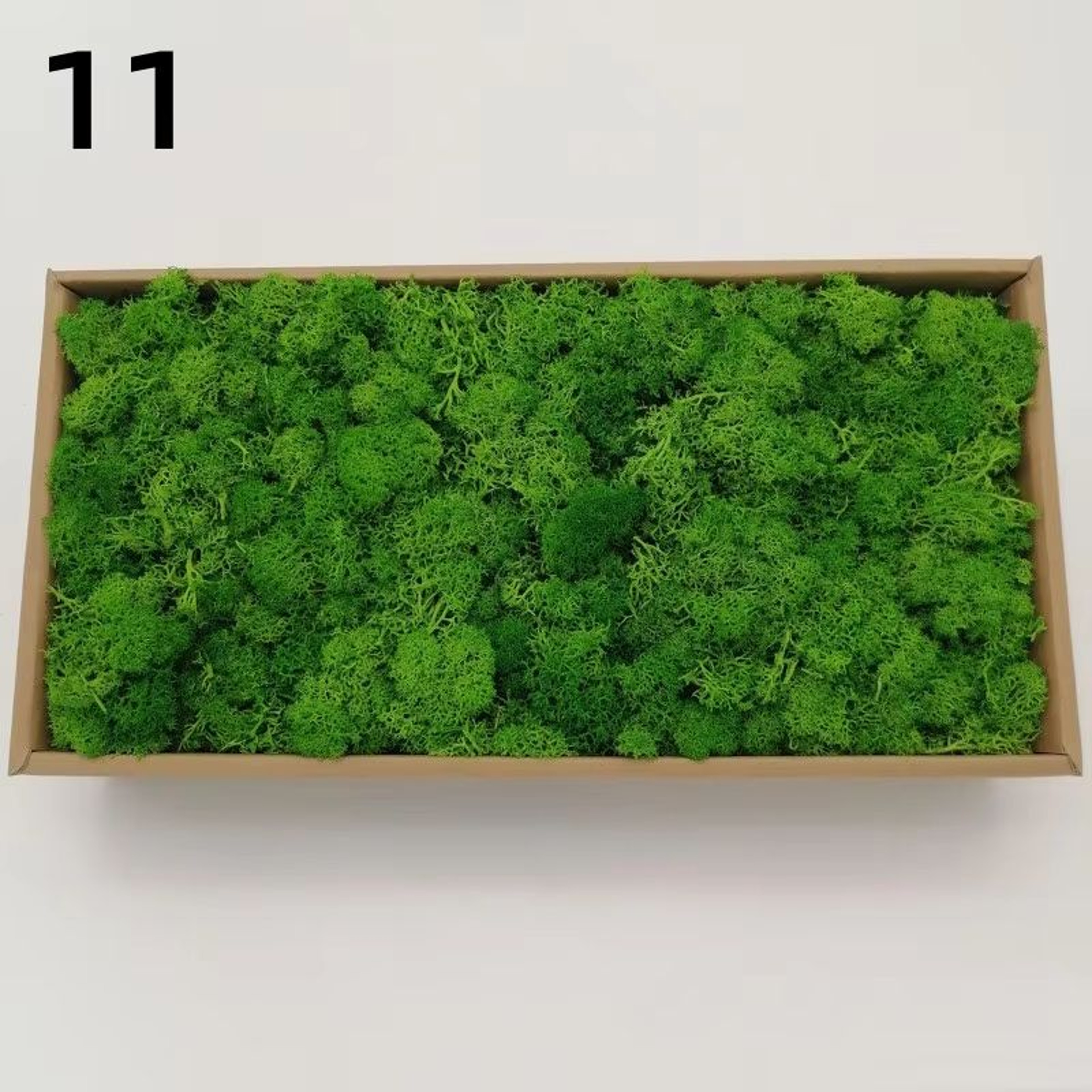 Natural Look Artificial Green Moss And Grass Set For Home Garden Decoration And DIY Crafts 17