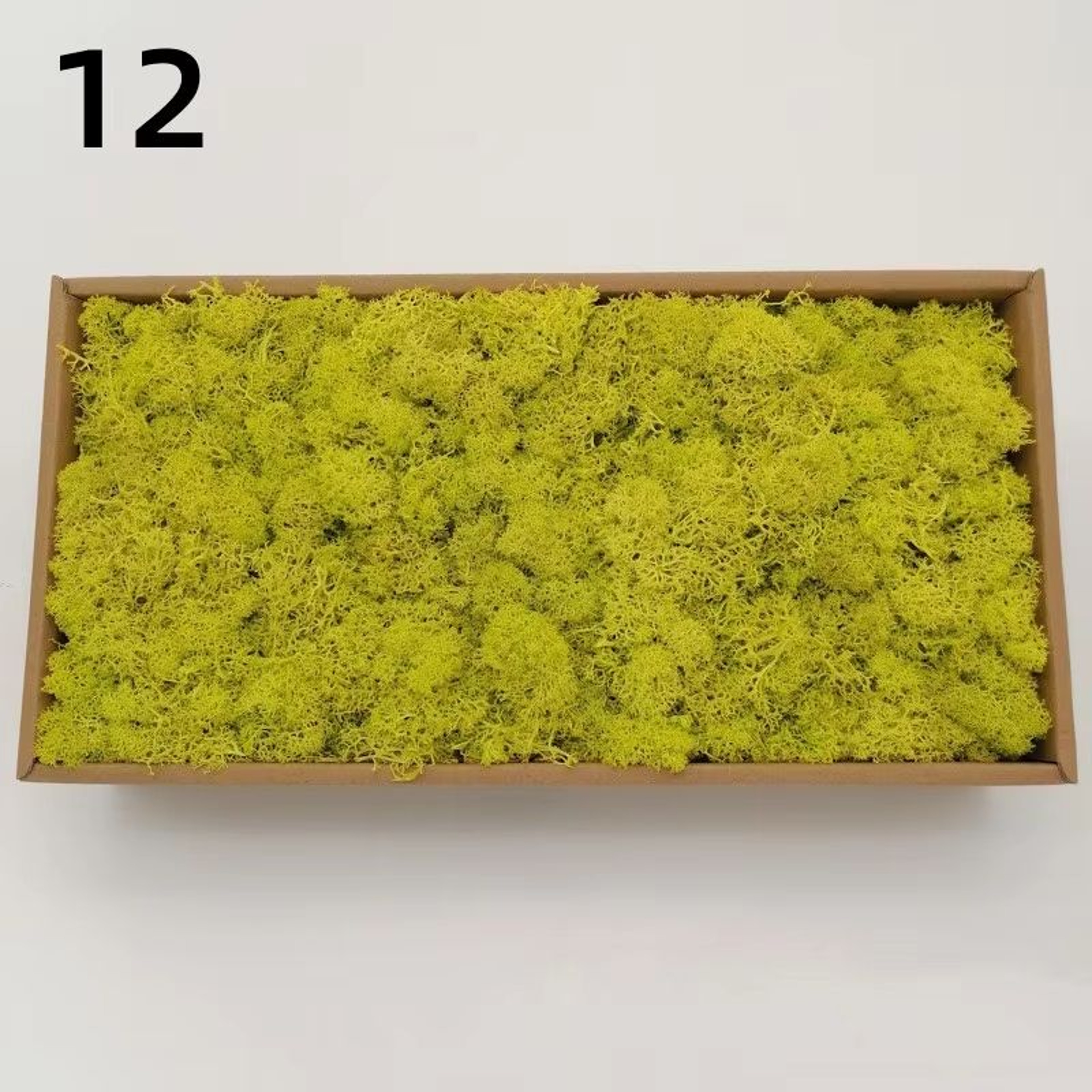 Natural Look Artificial Green Moss And Grass Set For Home Garden Decoration And DIY Crafts 18