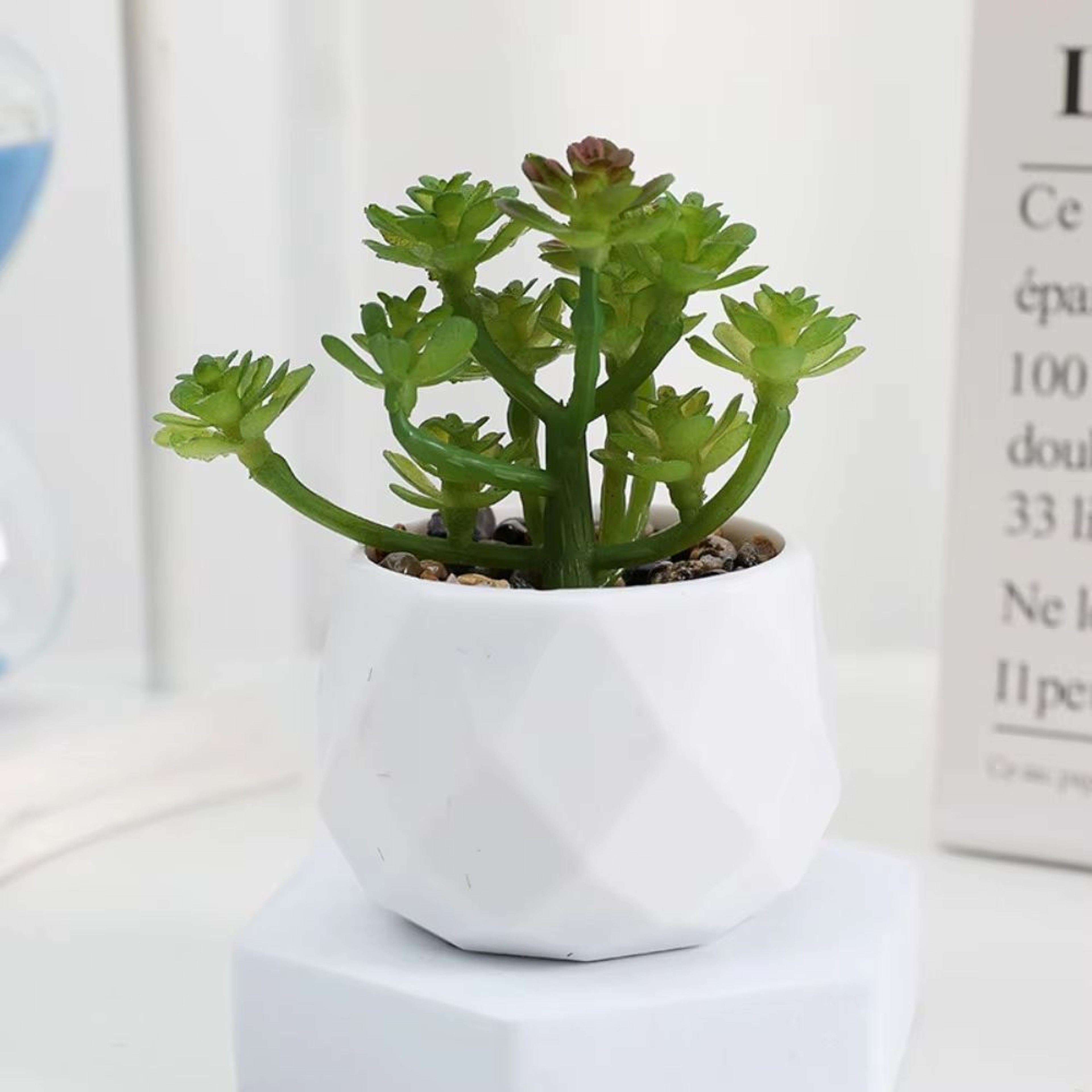 Mini Artificial Succulent Bonsai Plant Realistic Faux Cactus Decor For Desk And Home 10