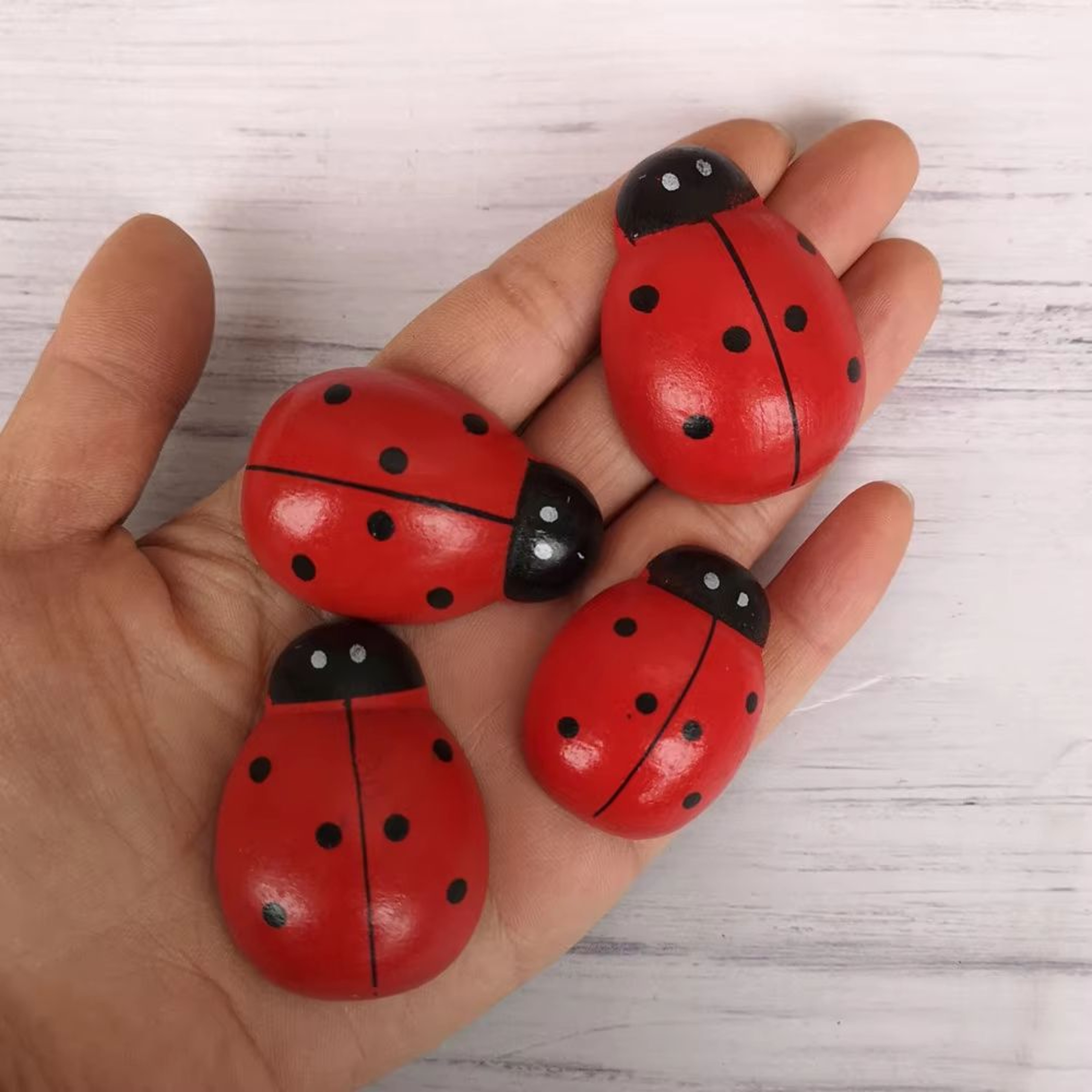 Mini Wooden Ladybug Fairy Garden Decor DIY Craft Accessory For Plants And Terrariums 0