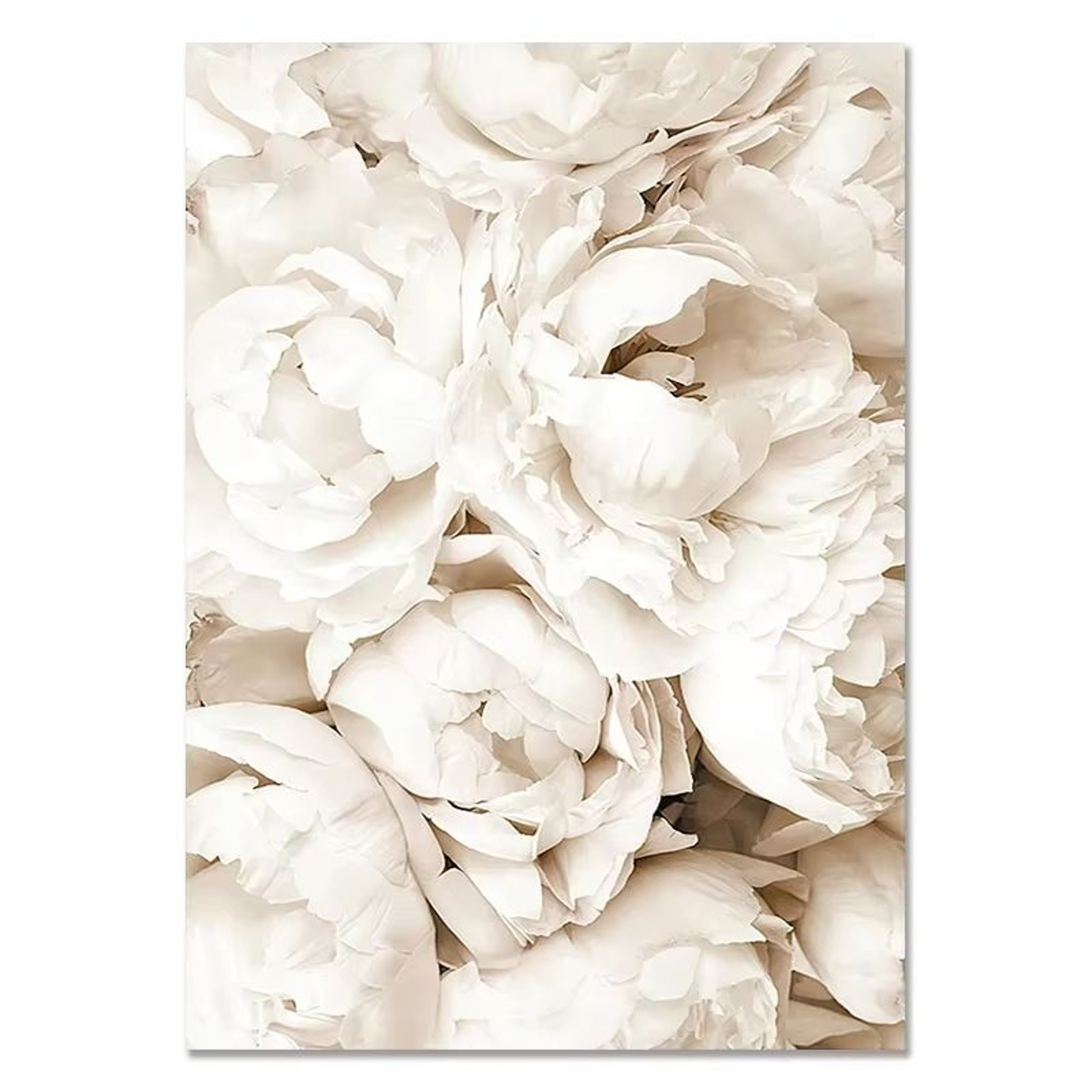 Nordic White Shell Beach Dandelion Canvas Wall Art Minimalist Living Room Decor 9