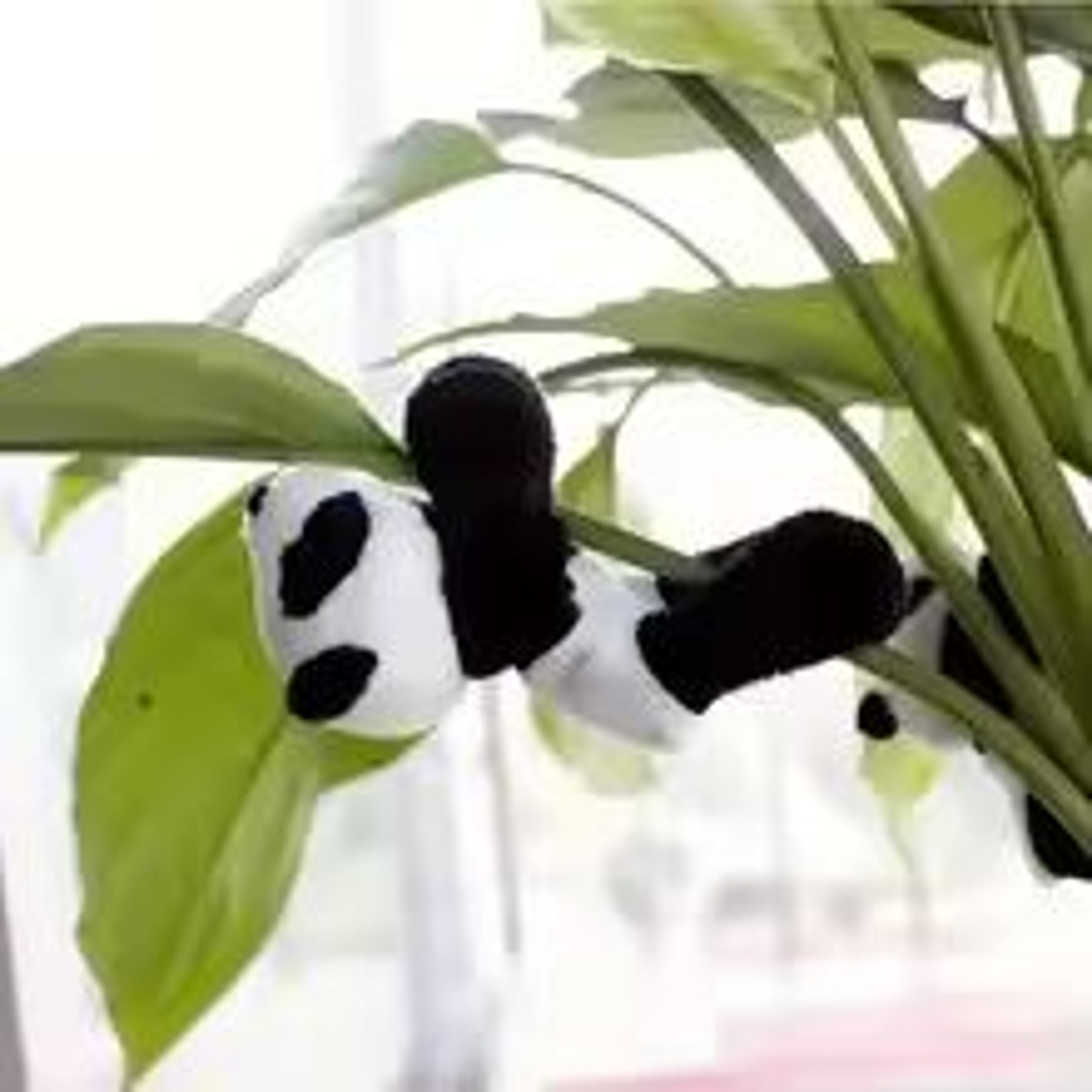 Cute Cartoon Panda Figurines Set For Desk Decor And Collectible Display 8