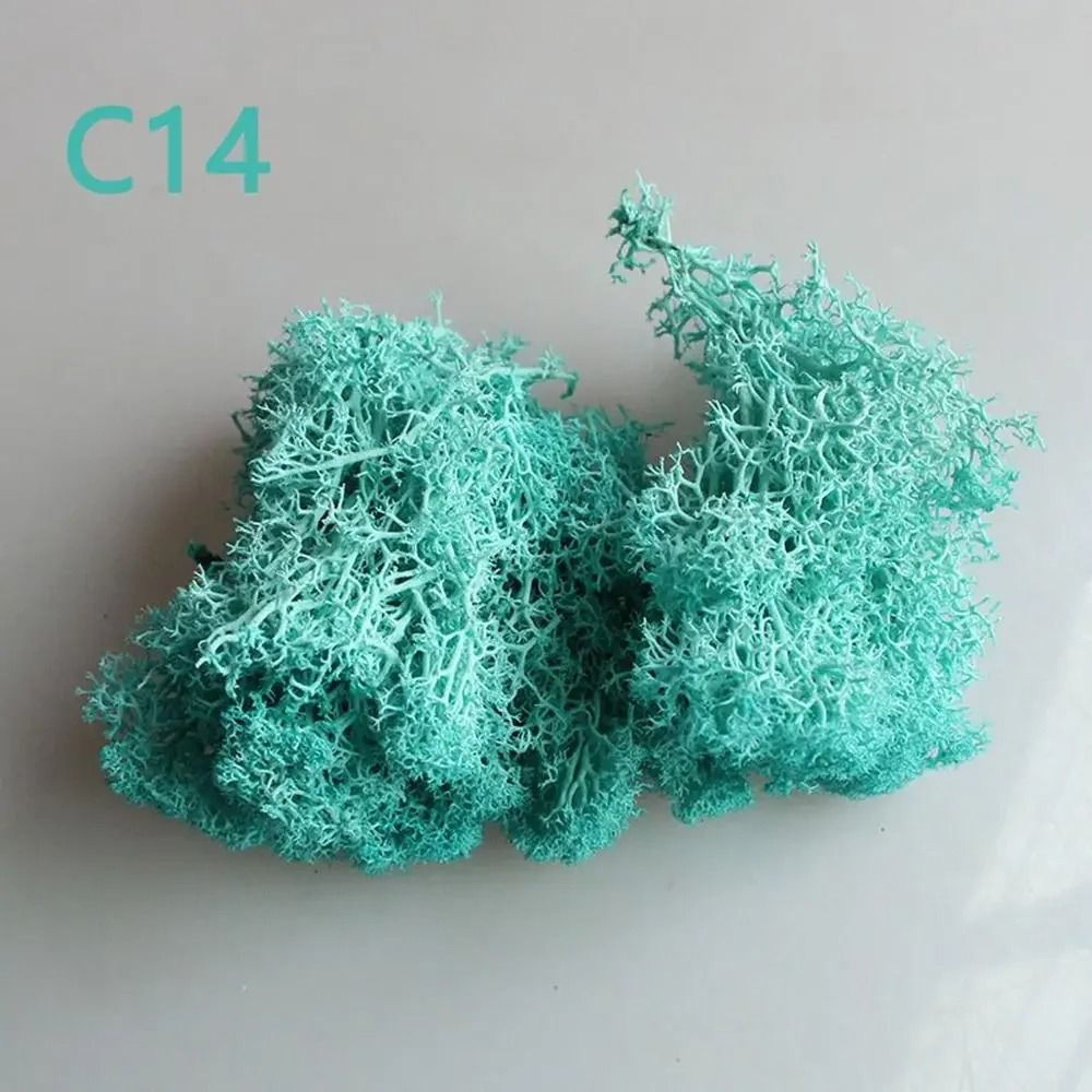 Artificial Moss Wall Decor Eternal Life DIY Micro Landscape Craft Material 17