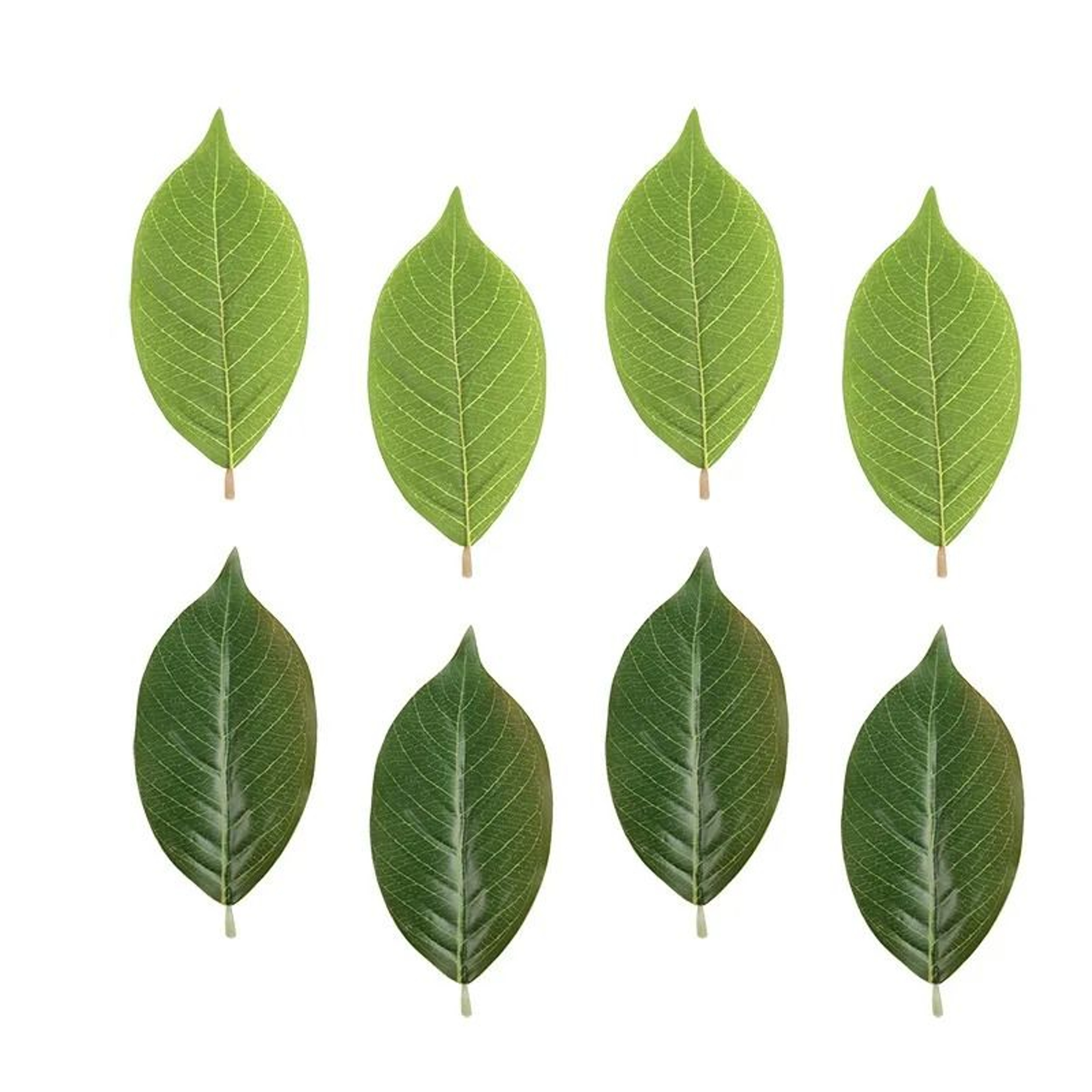 25pcs Realistic Magnolia Leaf Set PU Artificial Greenery For DIY Floral Arrangements  Home Decor 0