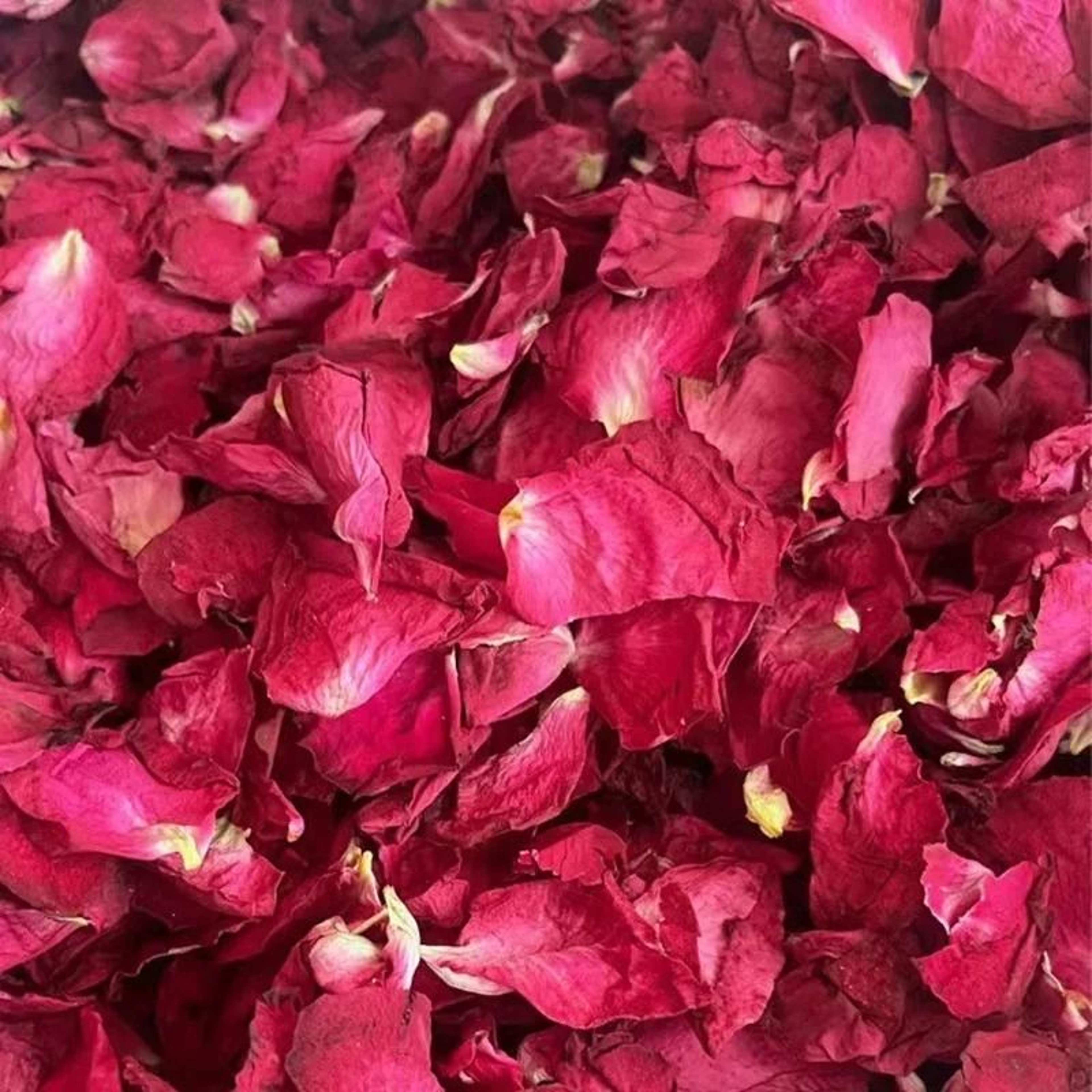 Natural Dried Rose Petals For Bath Spa Aromatherapy And Wedding Decor 4
