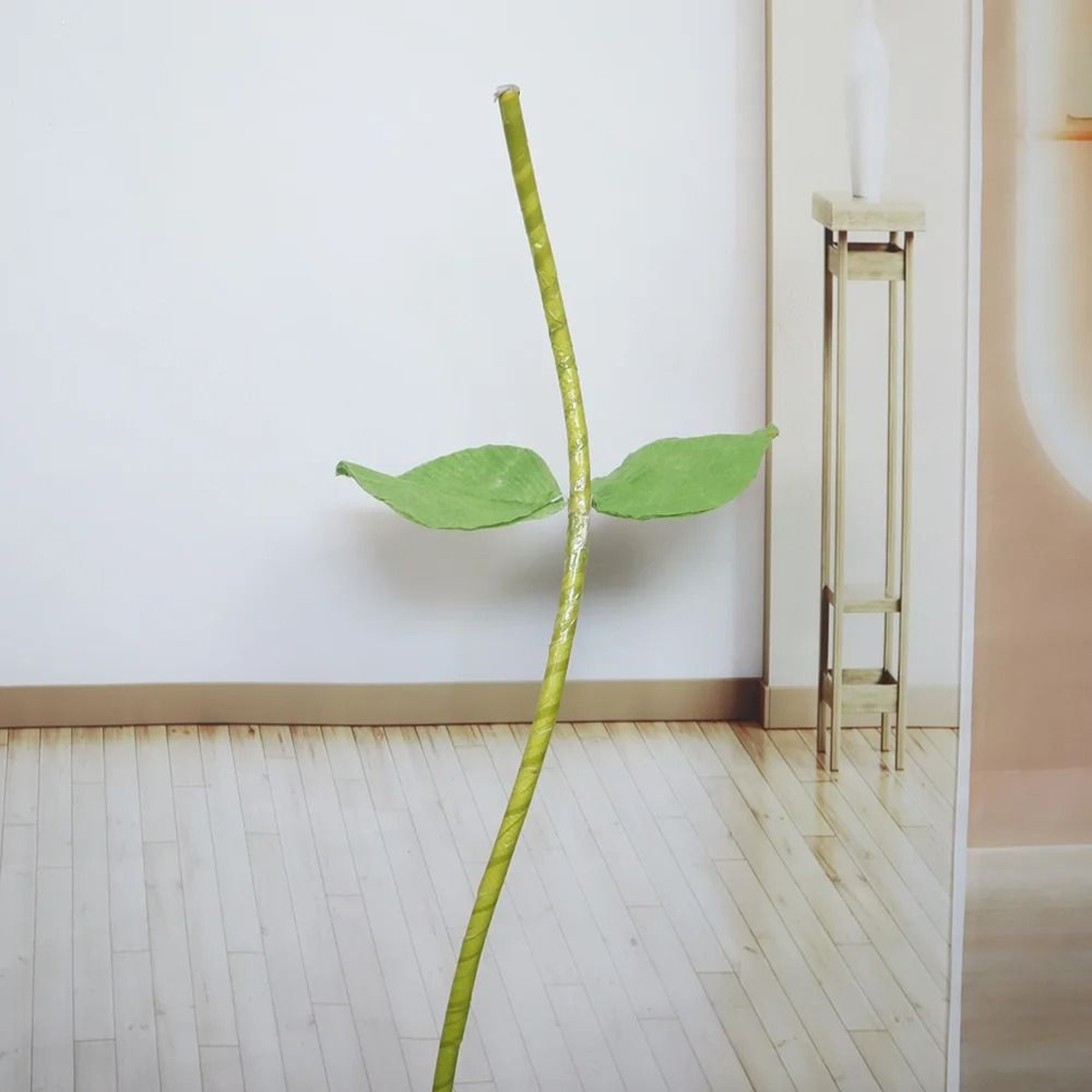63Inch Floor Standing Flower Pole Base For Giant Paper Flower Displays And Event Decor 10