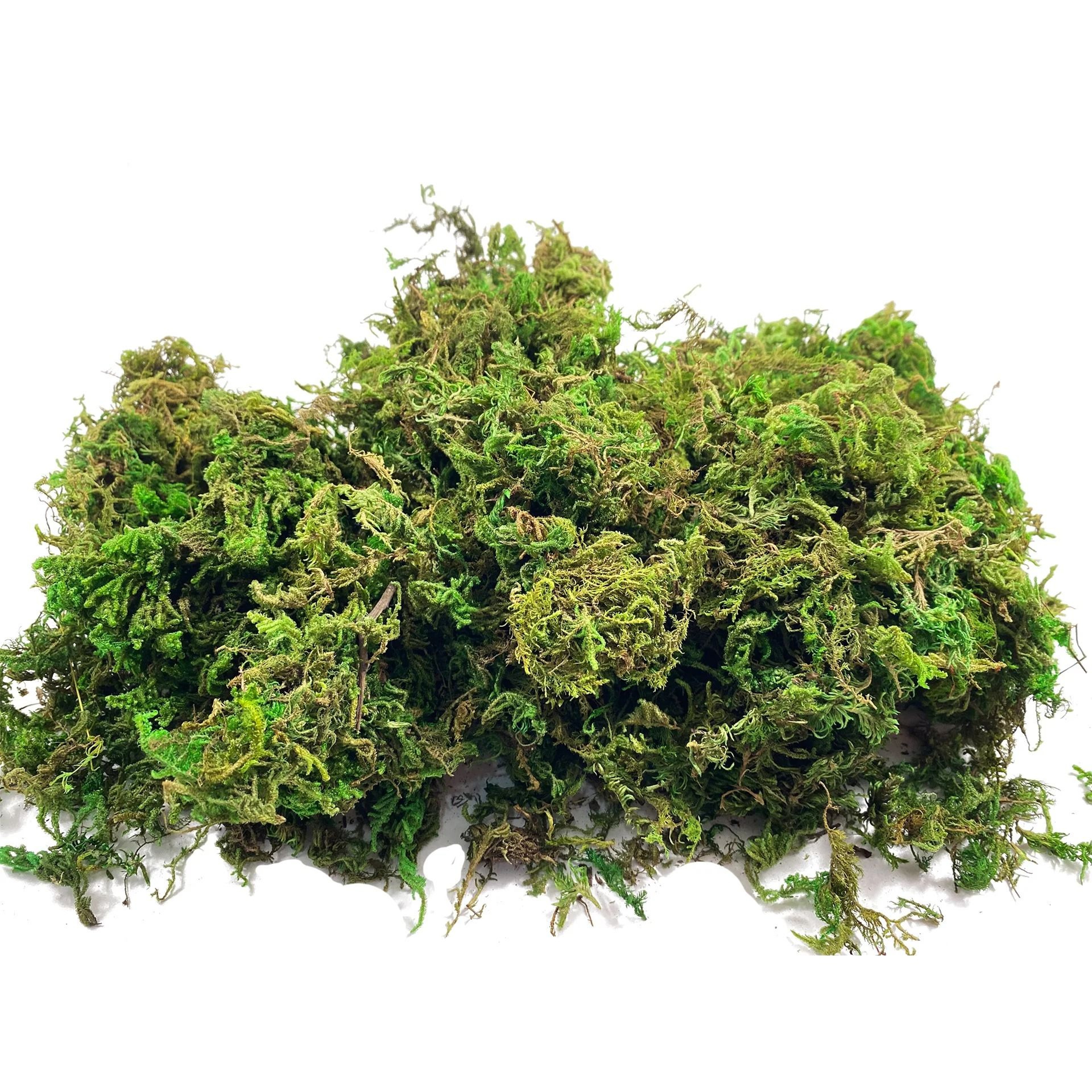 Artificial Green Moss Decor For Potted Plants  DIY Centerpieces 0