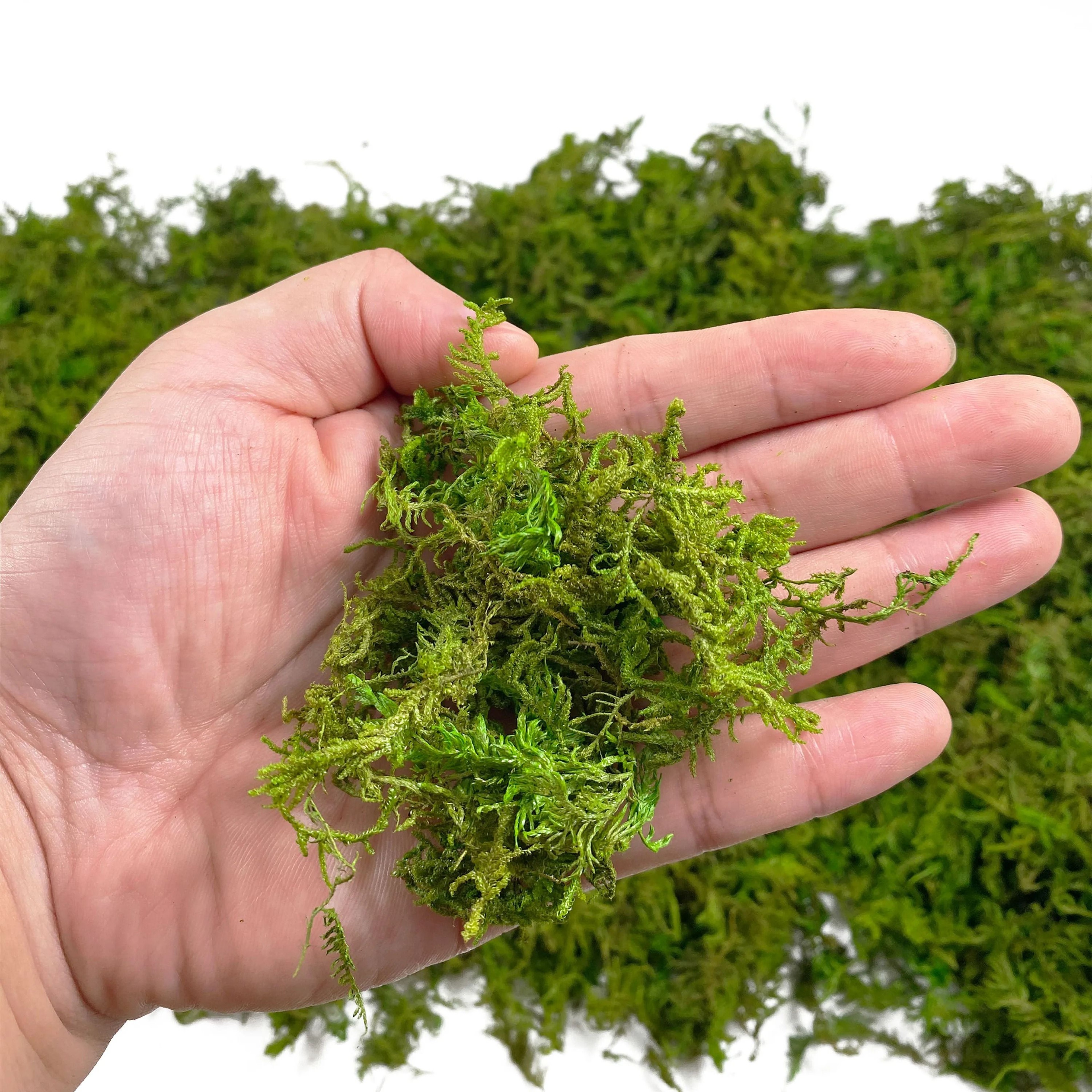 Artificial Green Moss Decor For Potted Plants  DIY Centerpieces 4