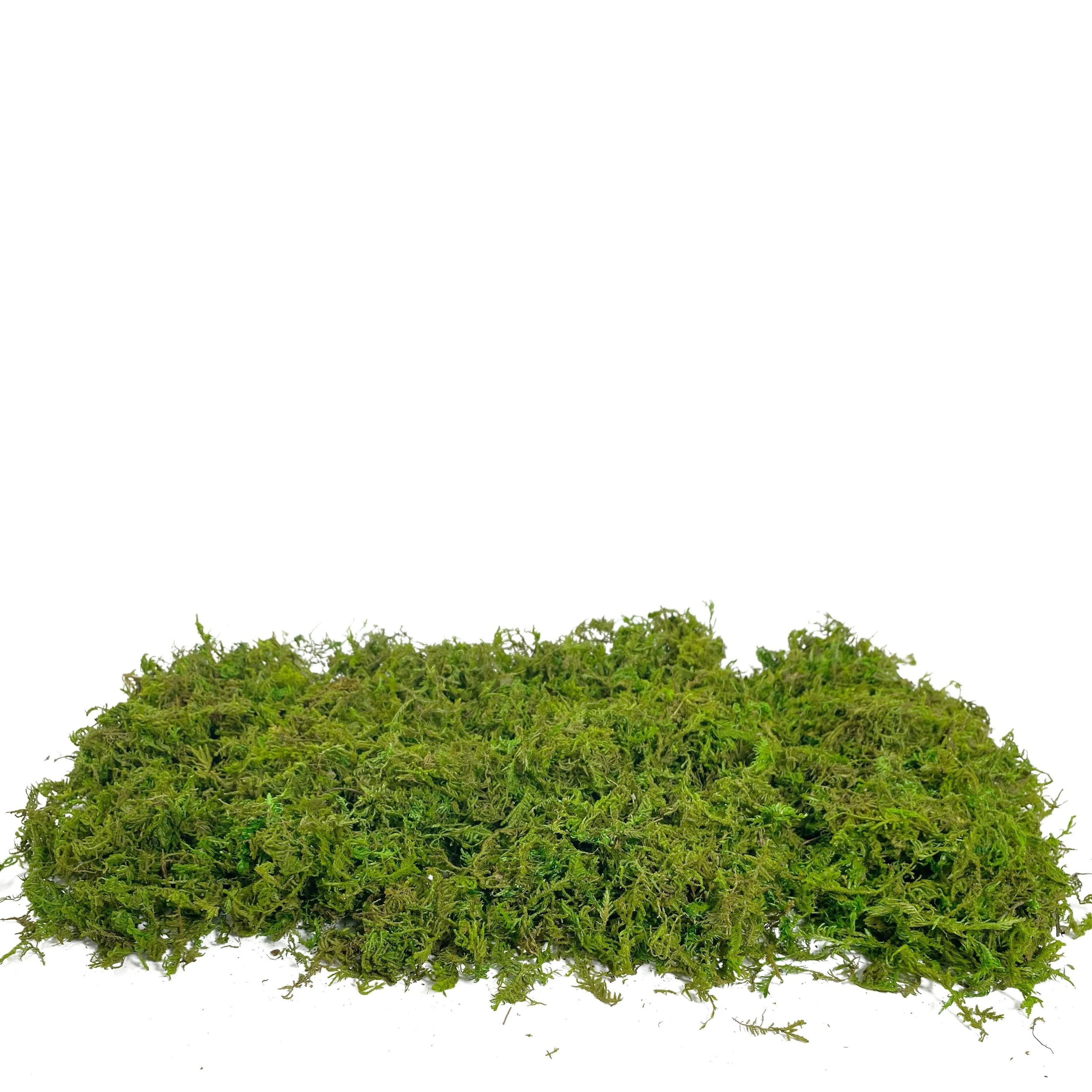 Artificial Green Moss Decor For Potted Plants  DIY Centerpieces 5