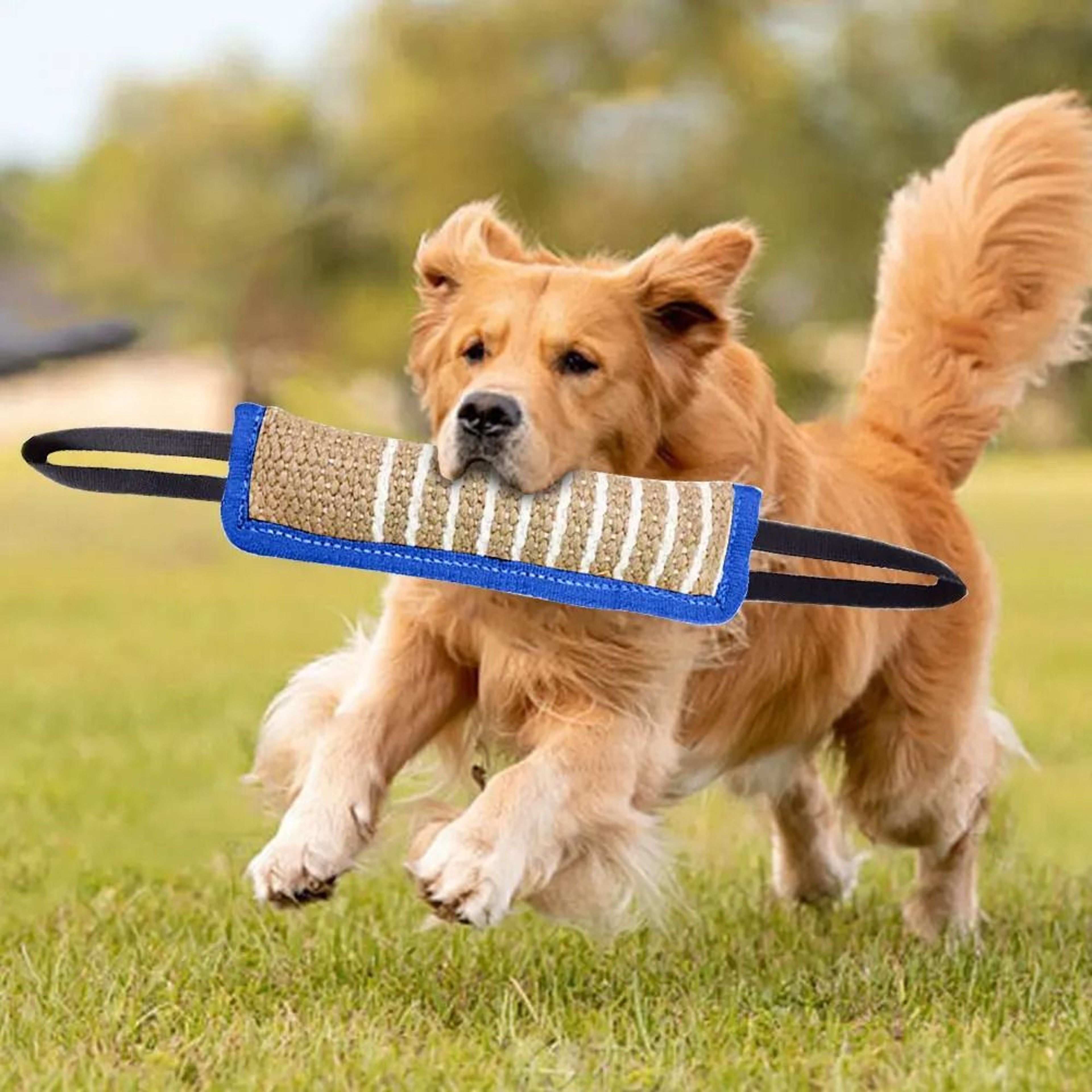 Durable Dog Bite Training Rod Toy For Teeth Grinding  Interactive Play 3