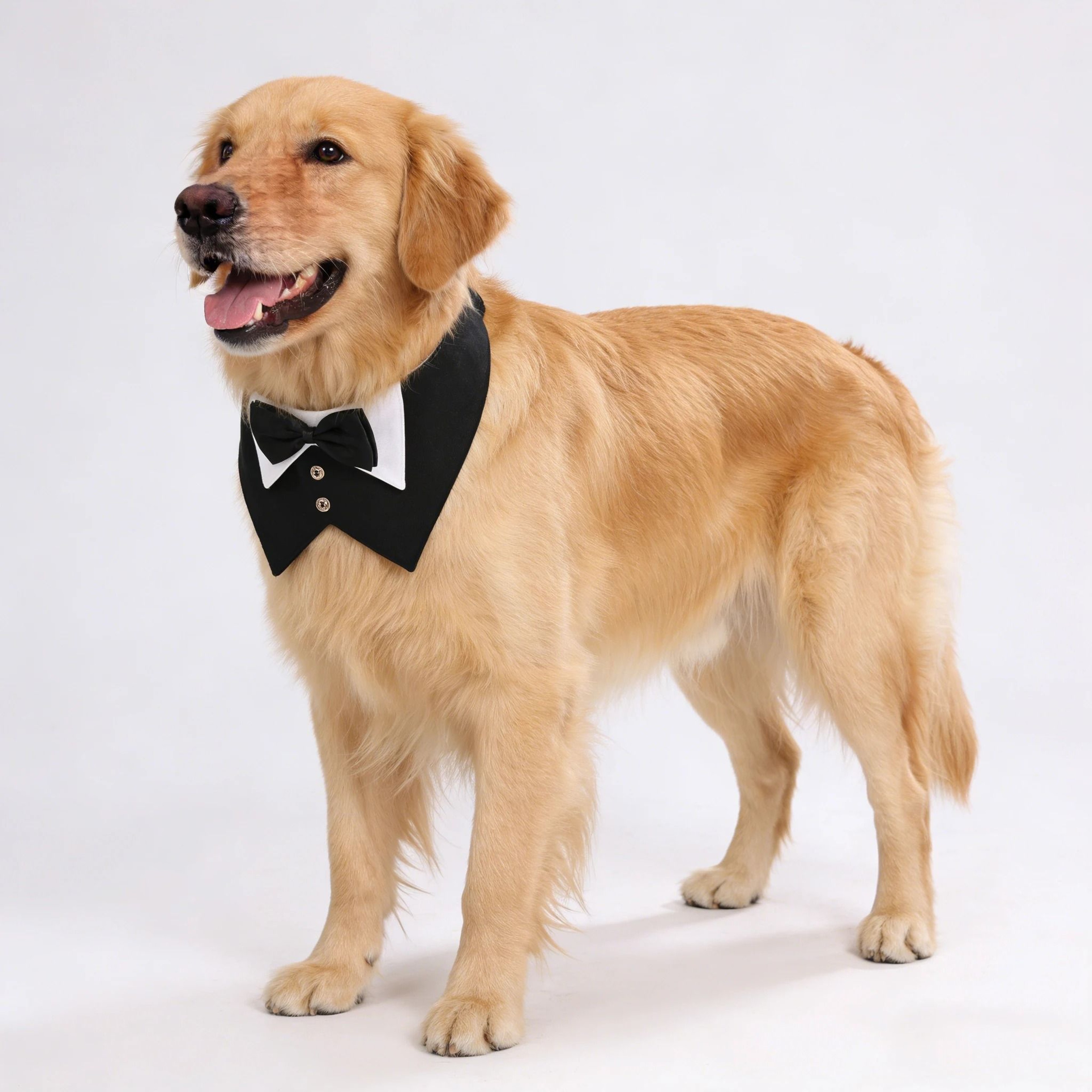 Formal Dog Tuxedo Bandana Collar With Bow Tie For Weddings  Parties 5