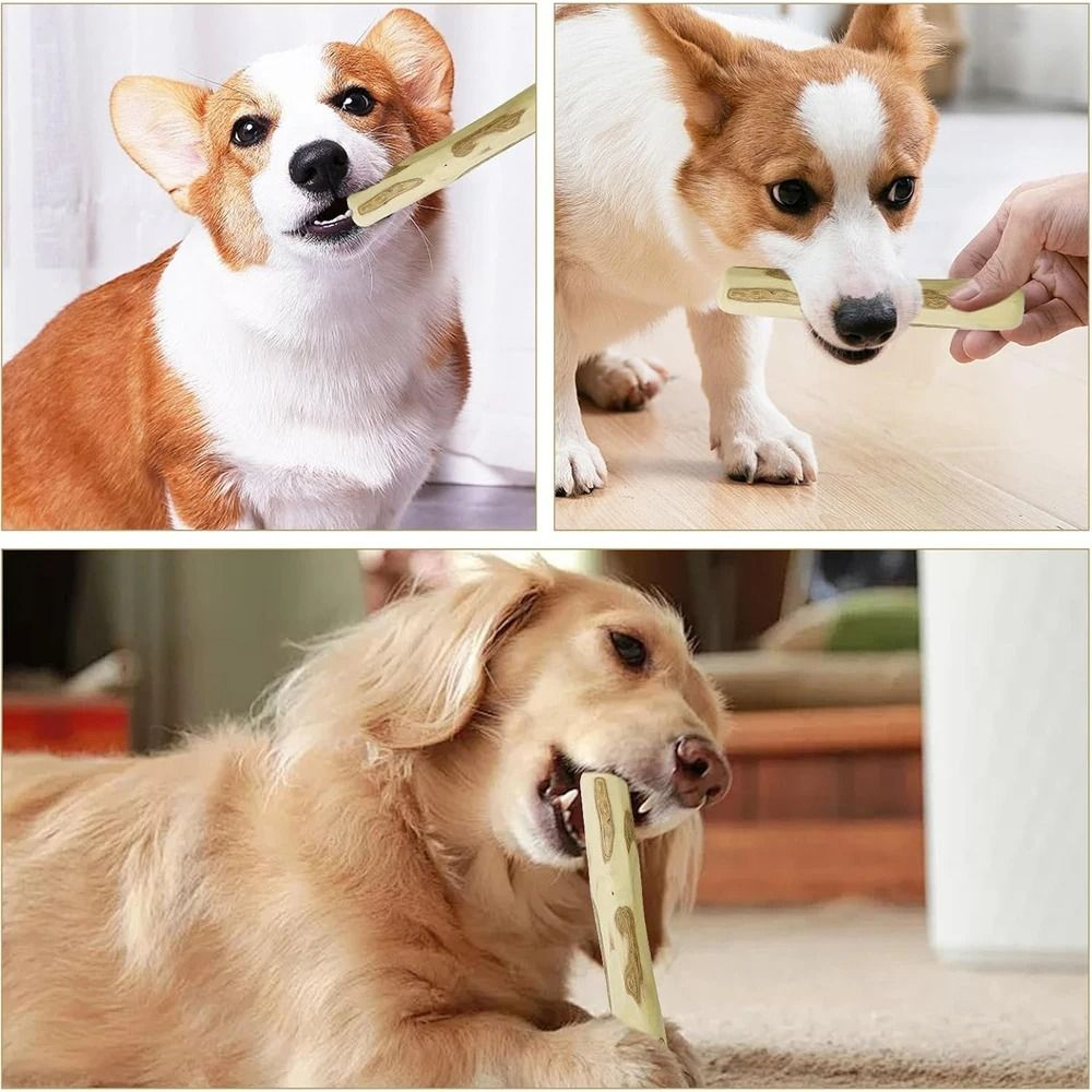 NatureGnaw Coffee Wood Dog Chew Stick For Dental Cleaning  Stress Relief 2