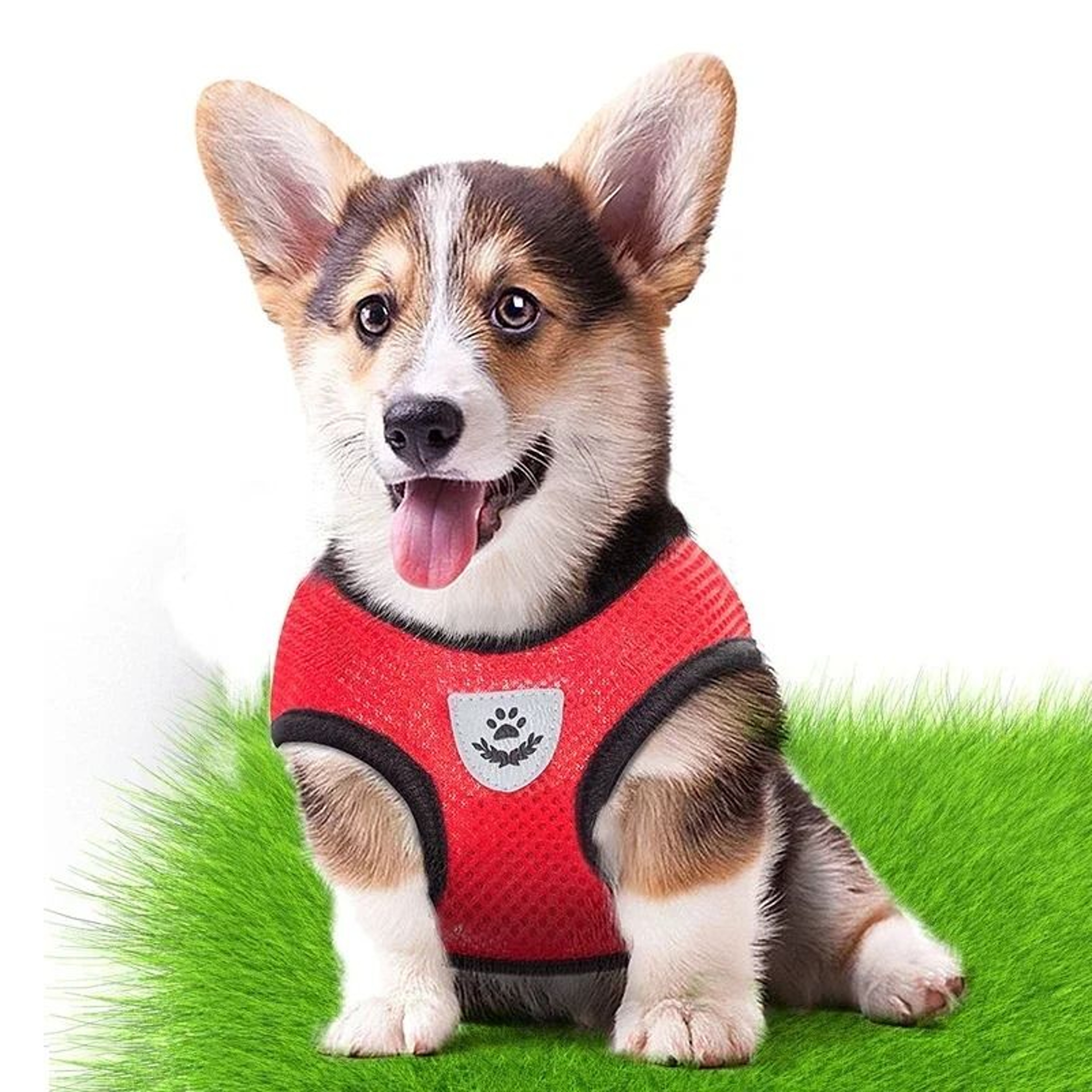 Soft Breathable Adjustable Pet Harness  Leash Set For Small And Medium Dogs  Cats 4