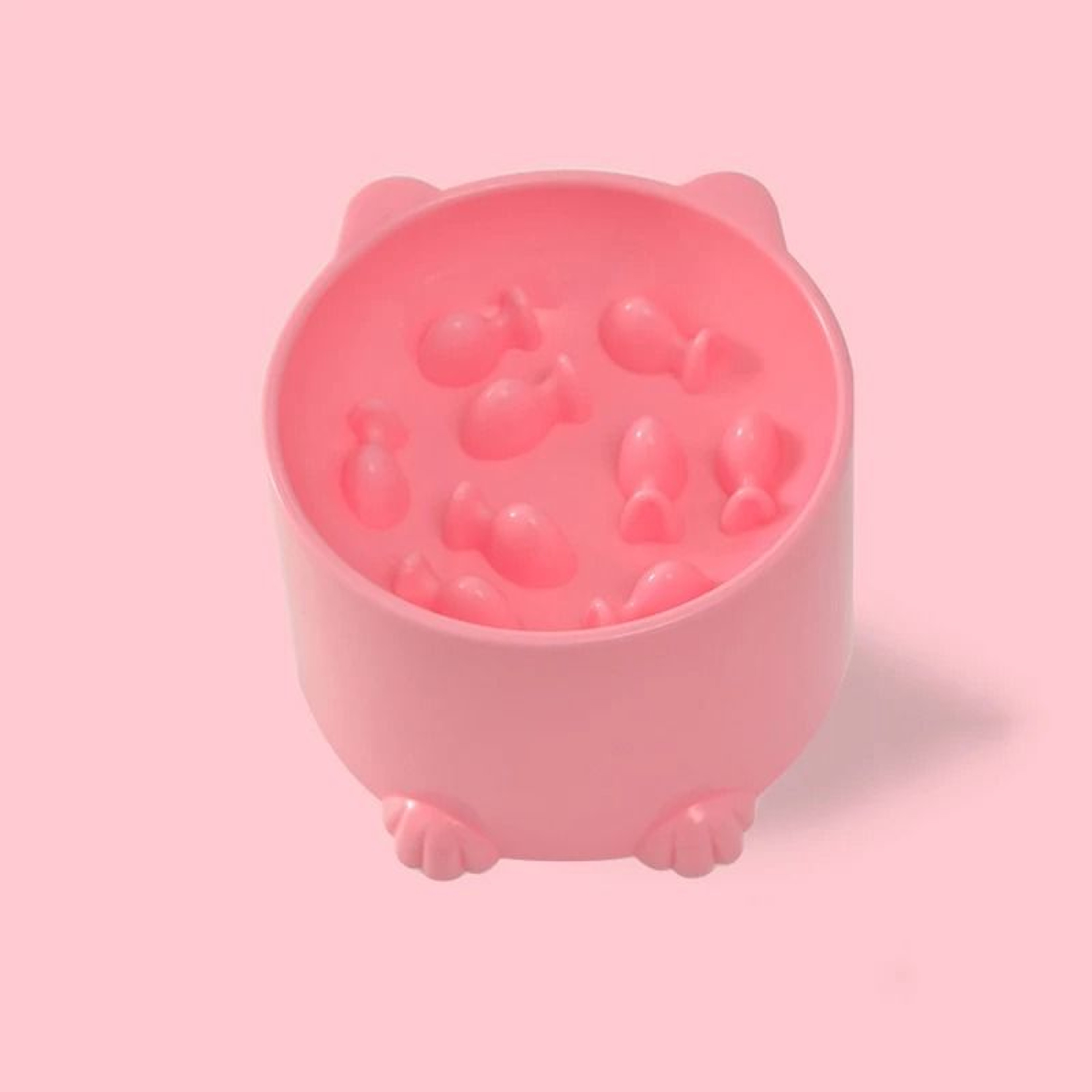 Elevated Slow Feeder Pet Bowl 9