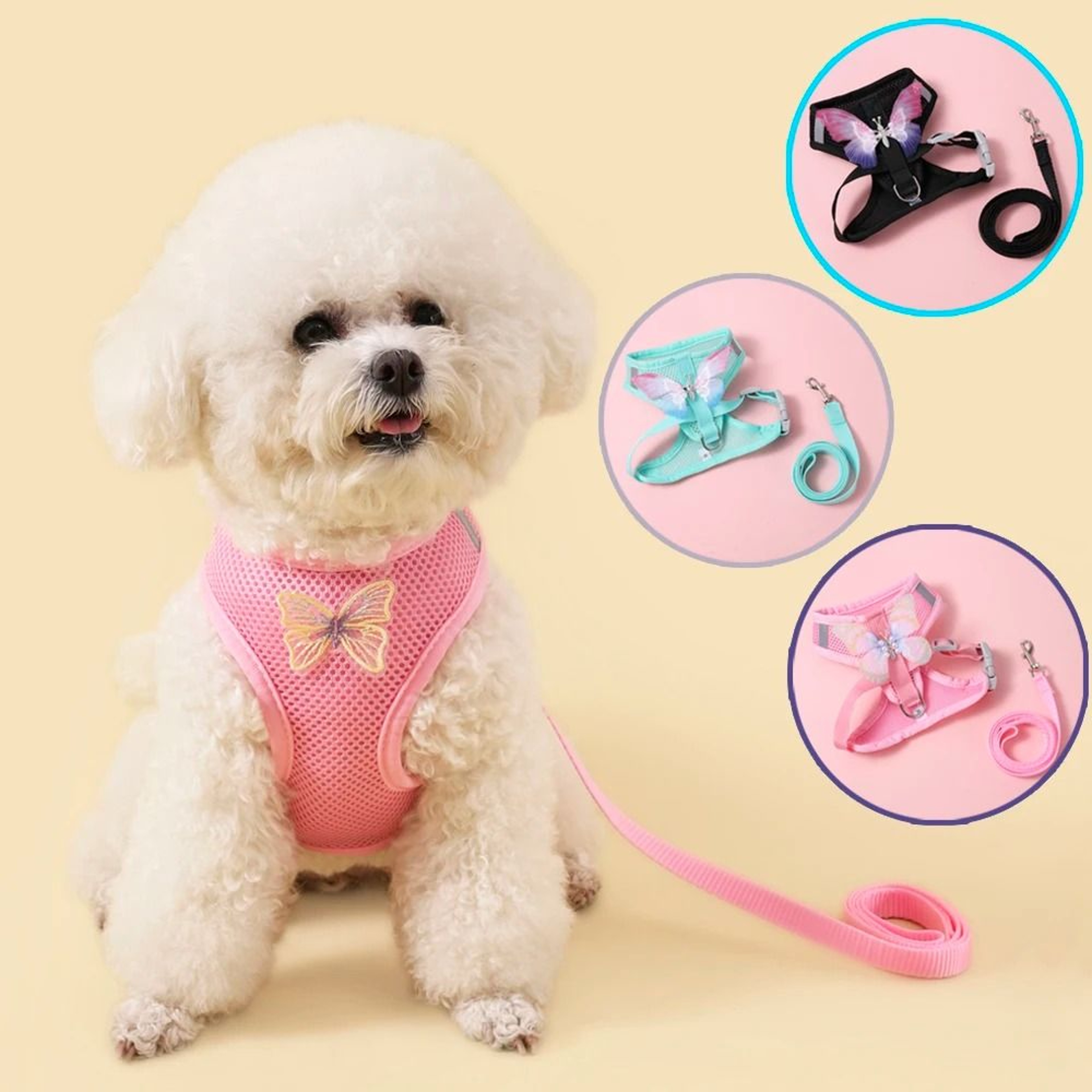 Cute Butterfly Breathable Pet Harness  Leash Set For Cats  Small Dogs 1