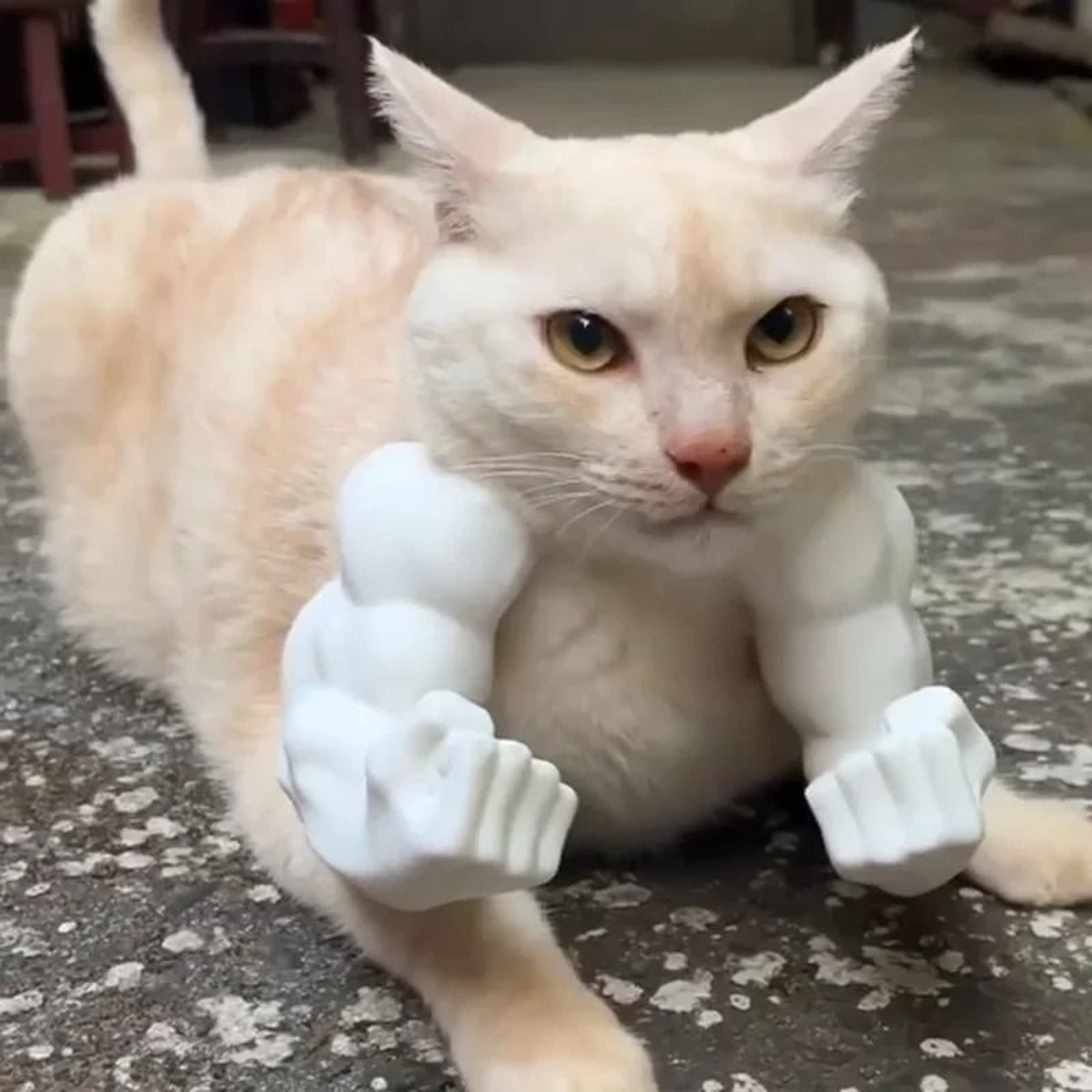 Funny Muscle Arm Cat Pendant 2