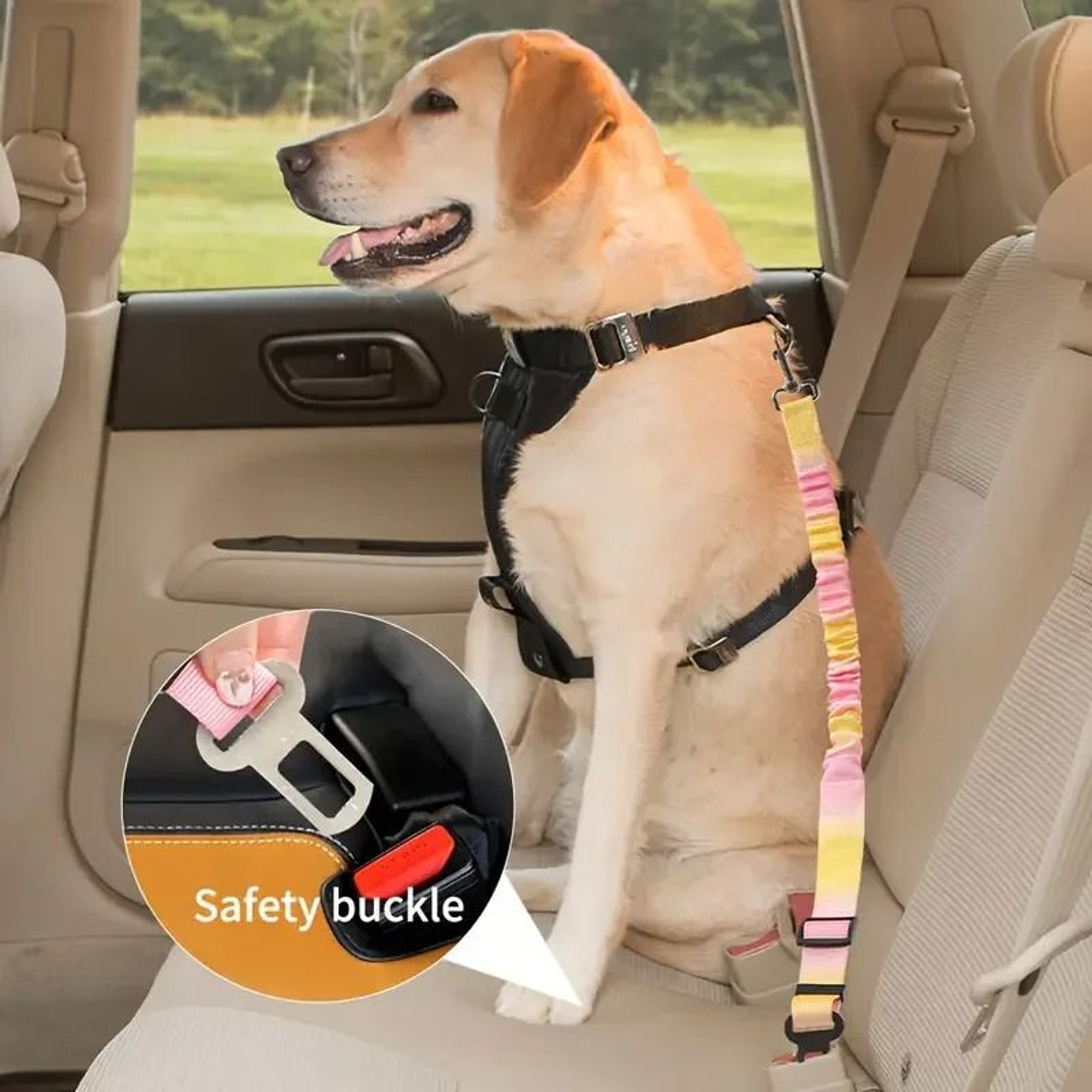 Adjustable Gradient Reflective Pet Car Safety Leash 3