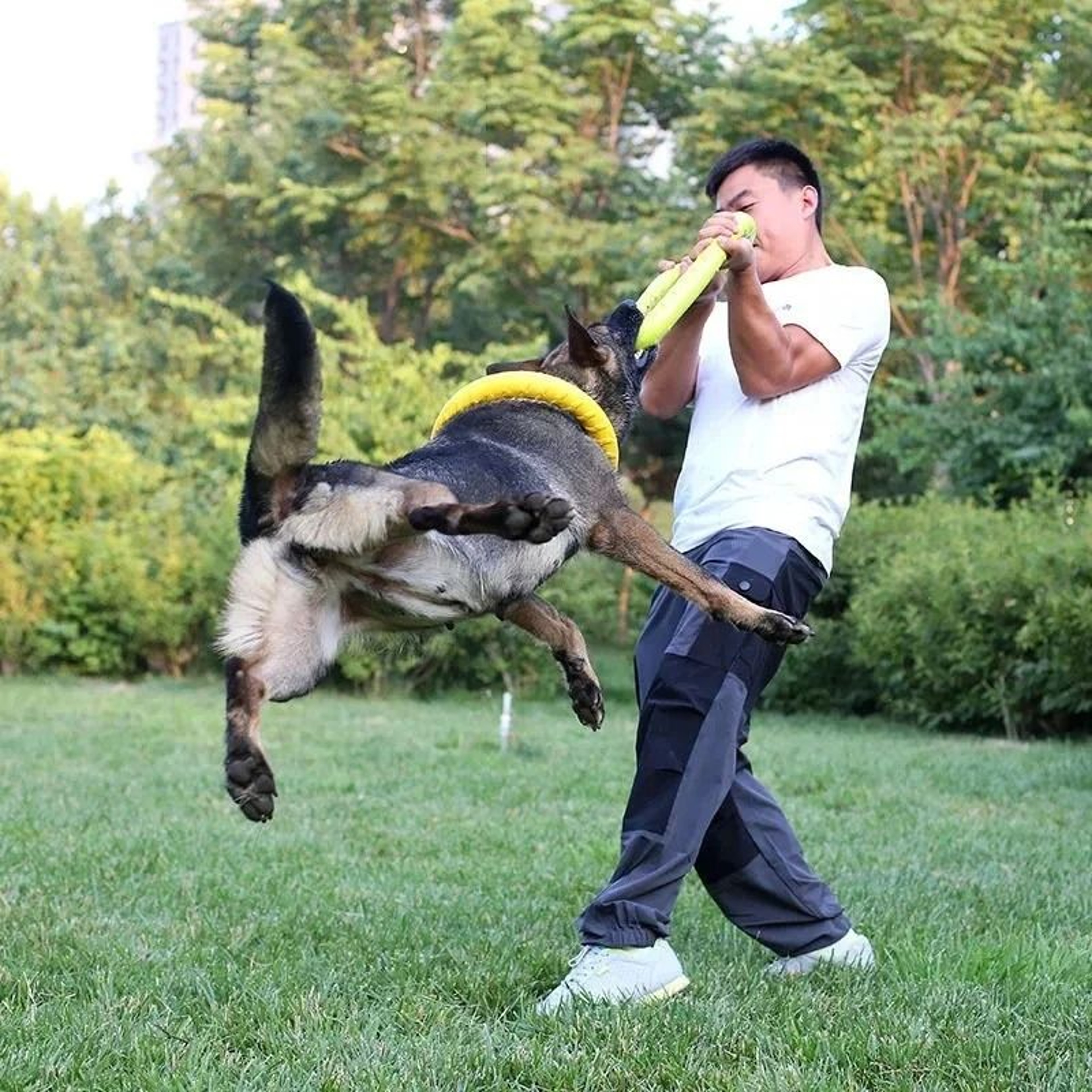 Floating EVA Dog Flying Disc Ring Interactive Training  Chew Toy For Dogs 2