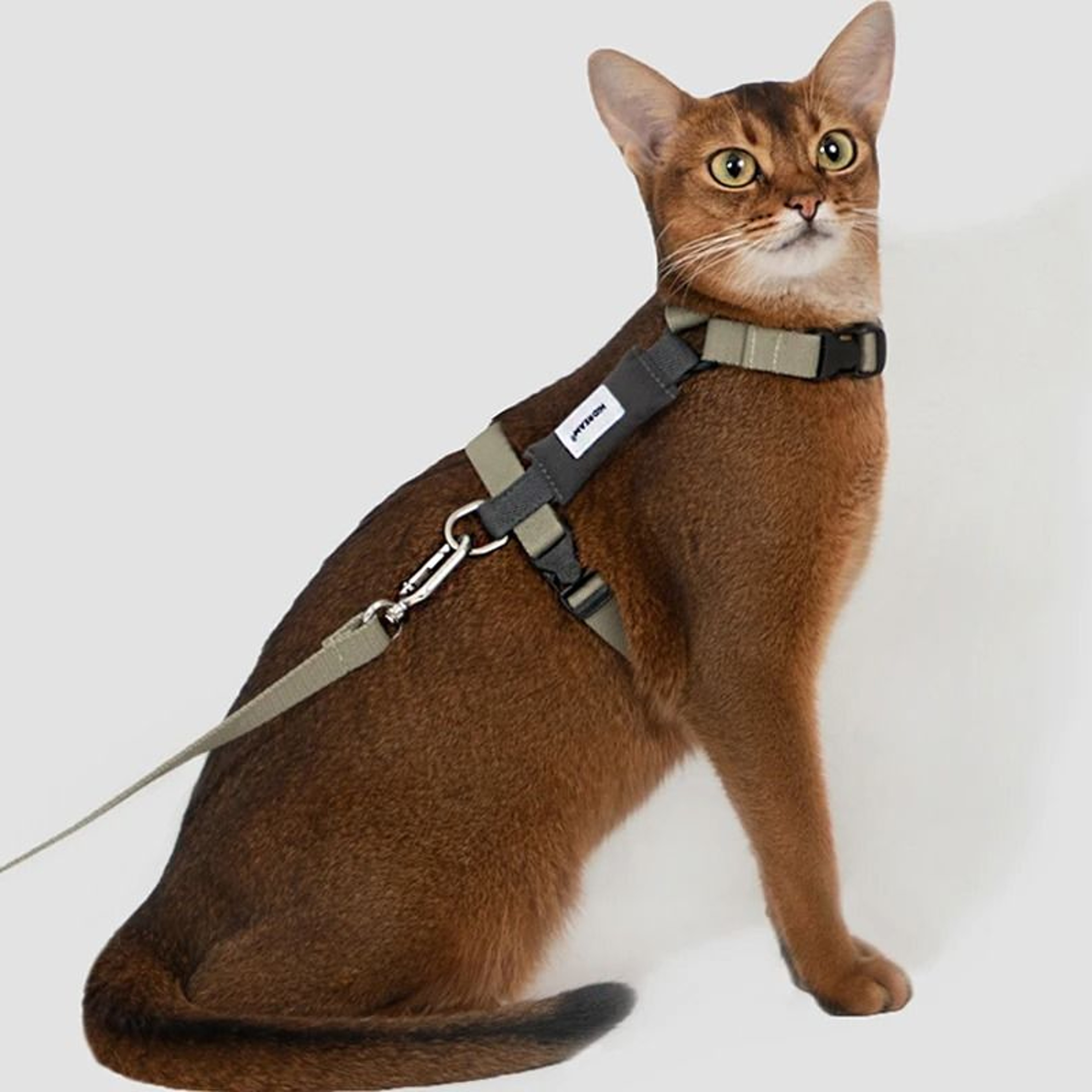 AirPaws Breathable Cat Harness And Leash Set For Outdoor Walking 6