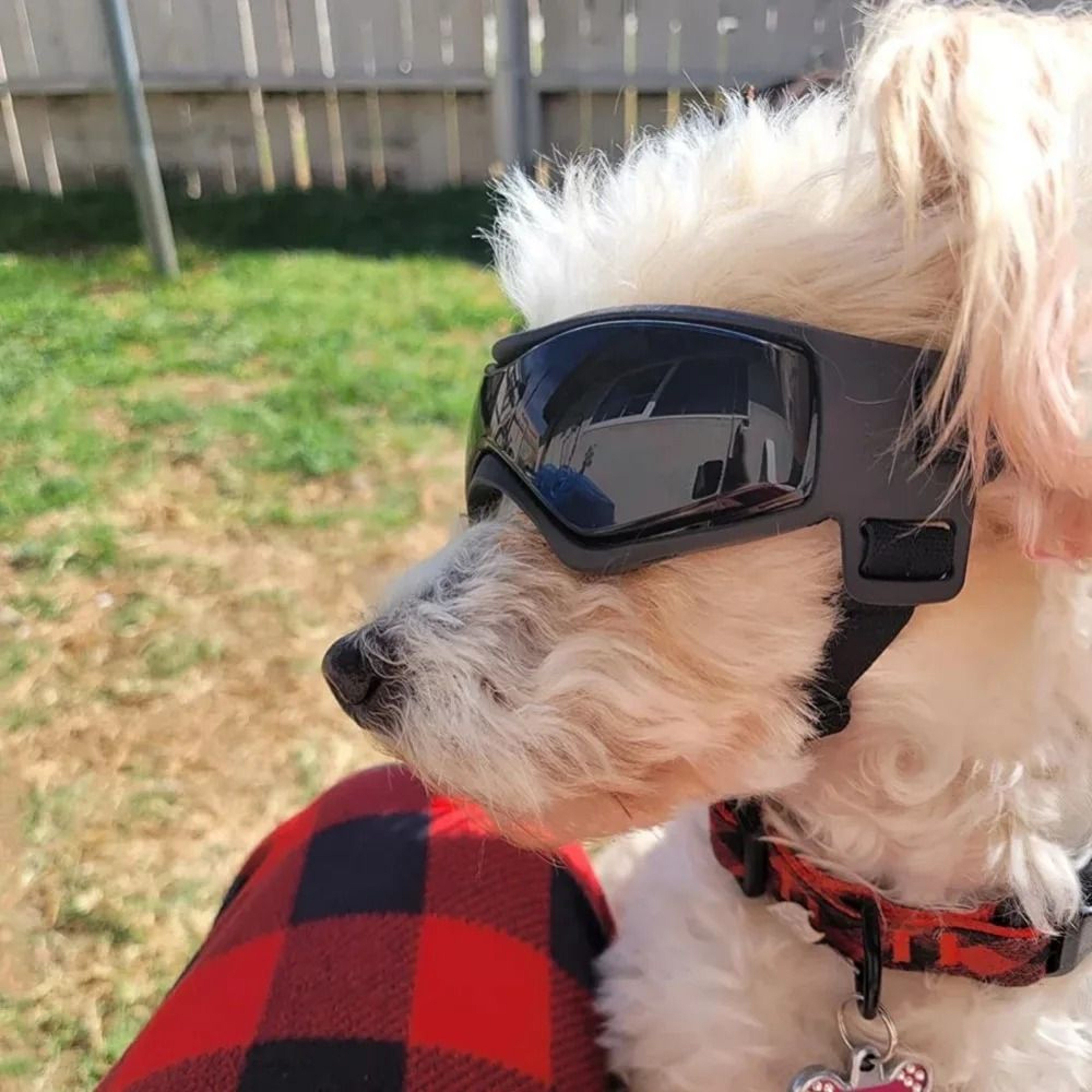 Adjustable UV Protection Dog Goggles For Small  Medium Dogs 1