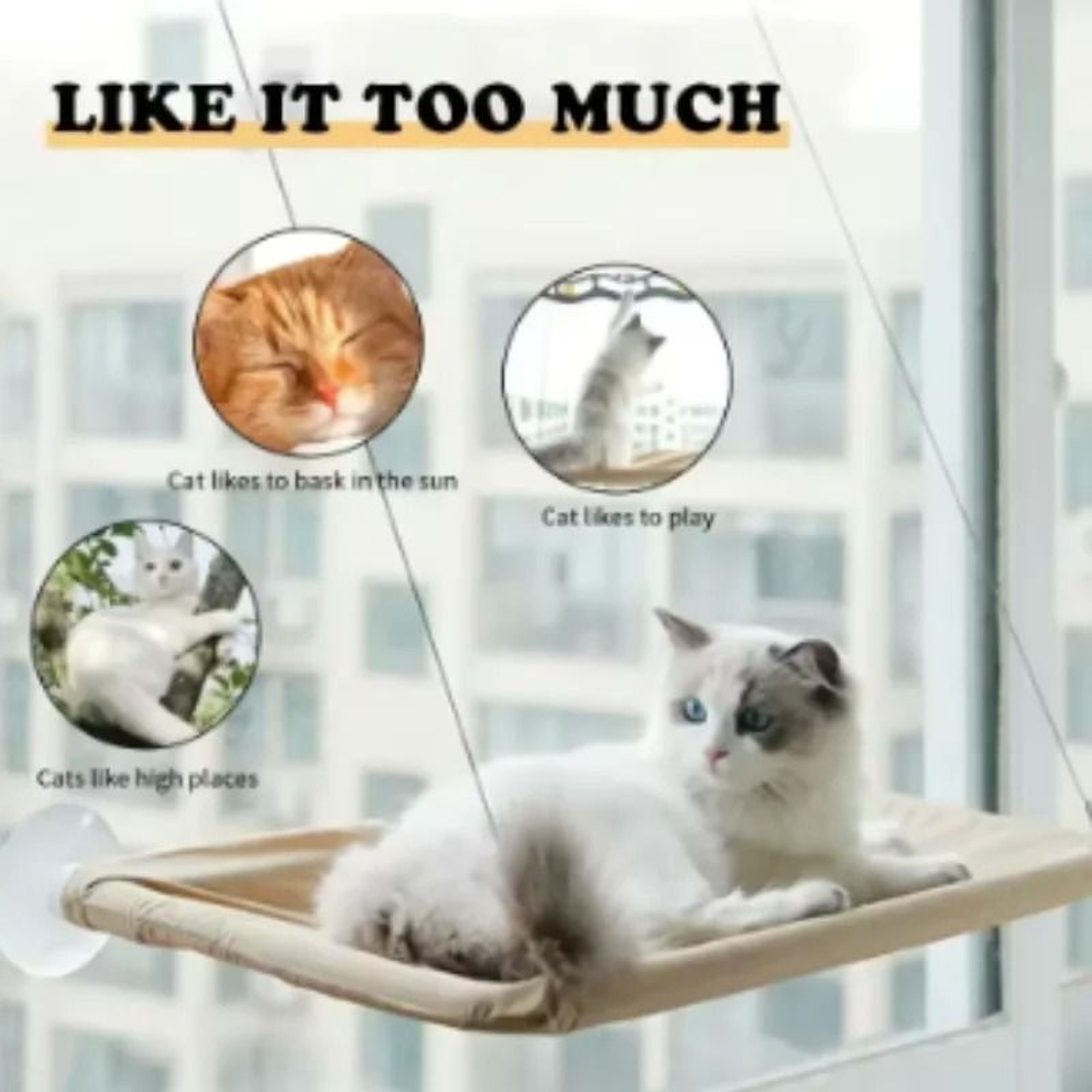 Washable Cat Window Hammock Suction Cup Hanging Bed For Indoor Cats 5