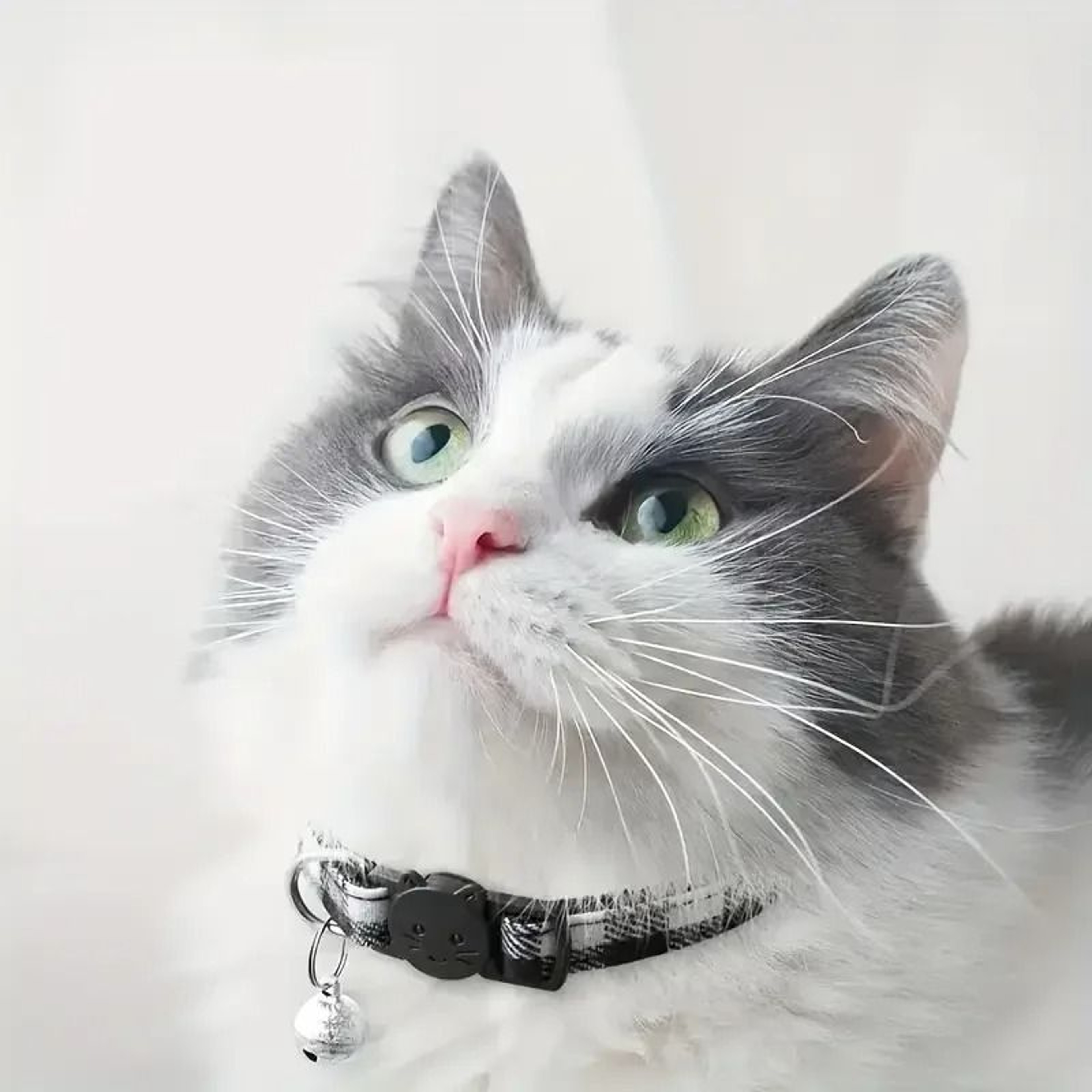 Personalized Plaid Breakaway Cat Collar With Bell  ID Tag 4