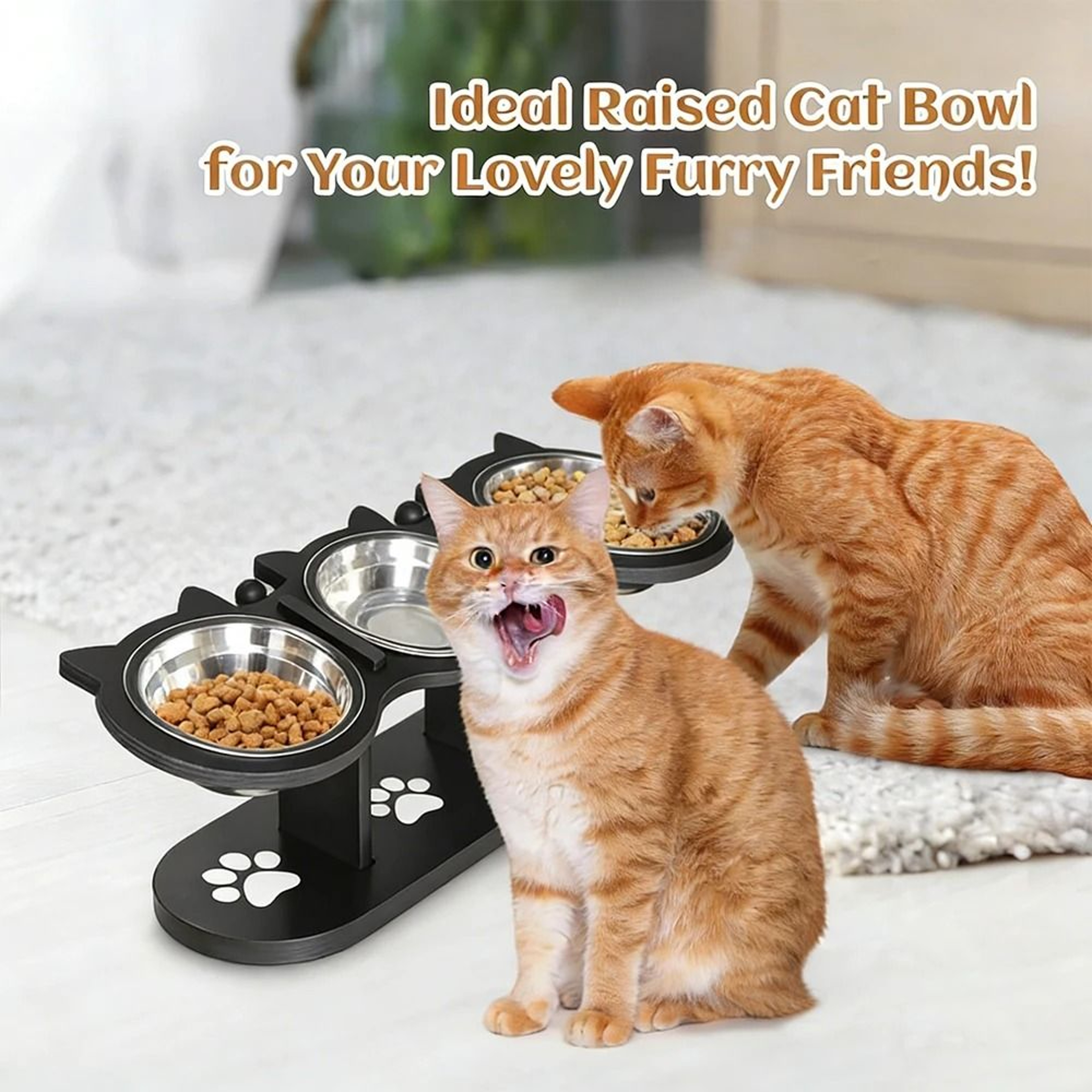 Elevated 3 Bowl Cat Feeding Station With Solid Wood Stand  Stainless Steel Bowls 4