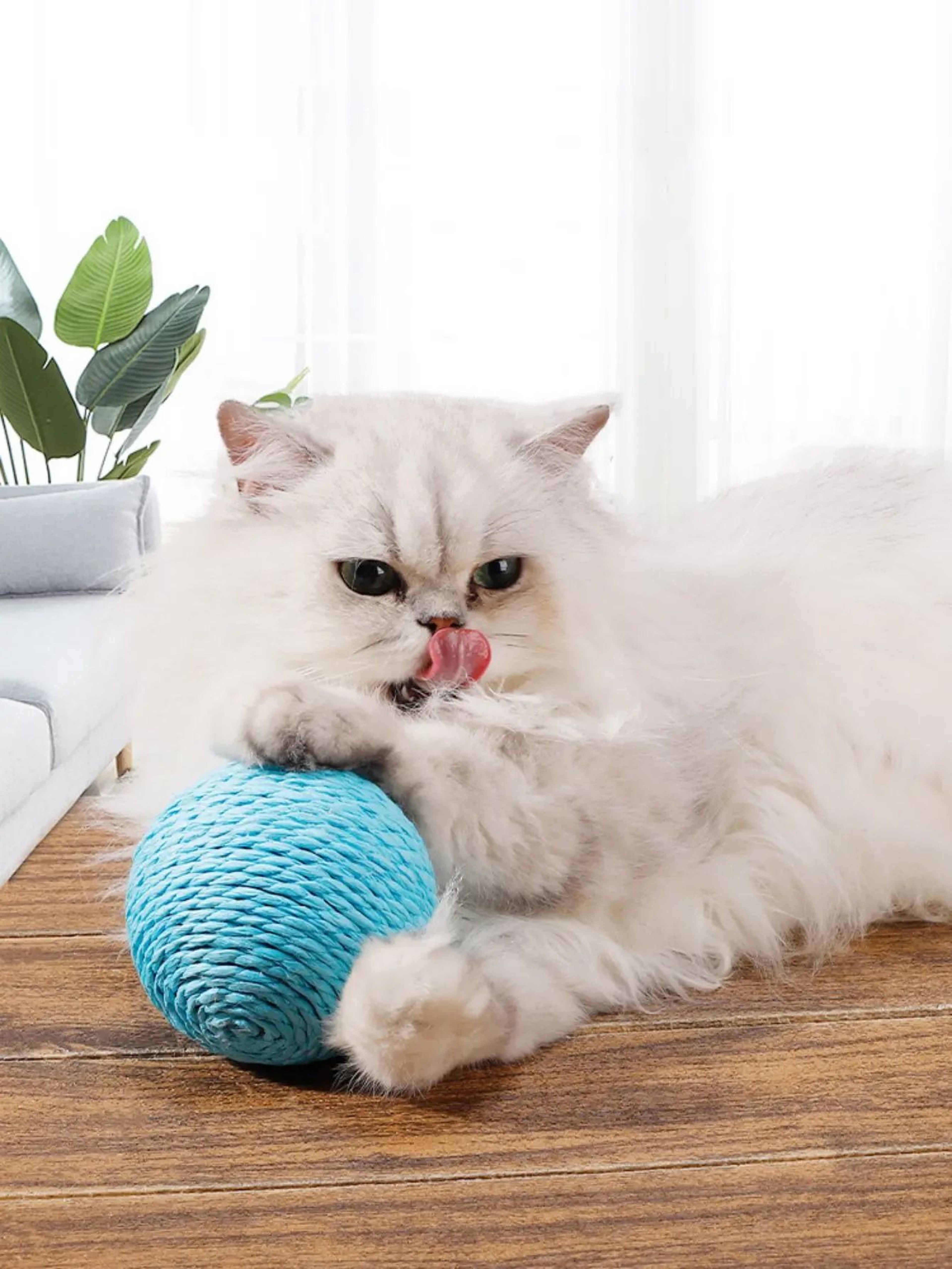 Interactive Sisal Cat Scratching Ball For Dental Care  Play 6