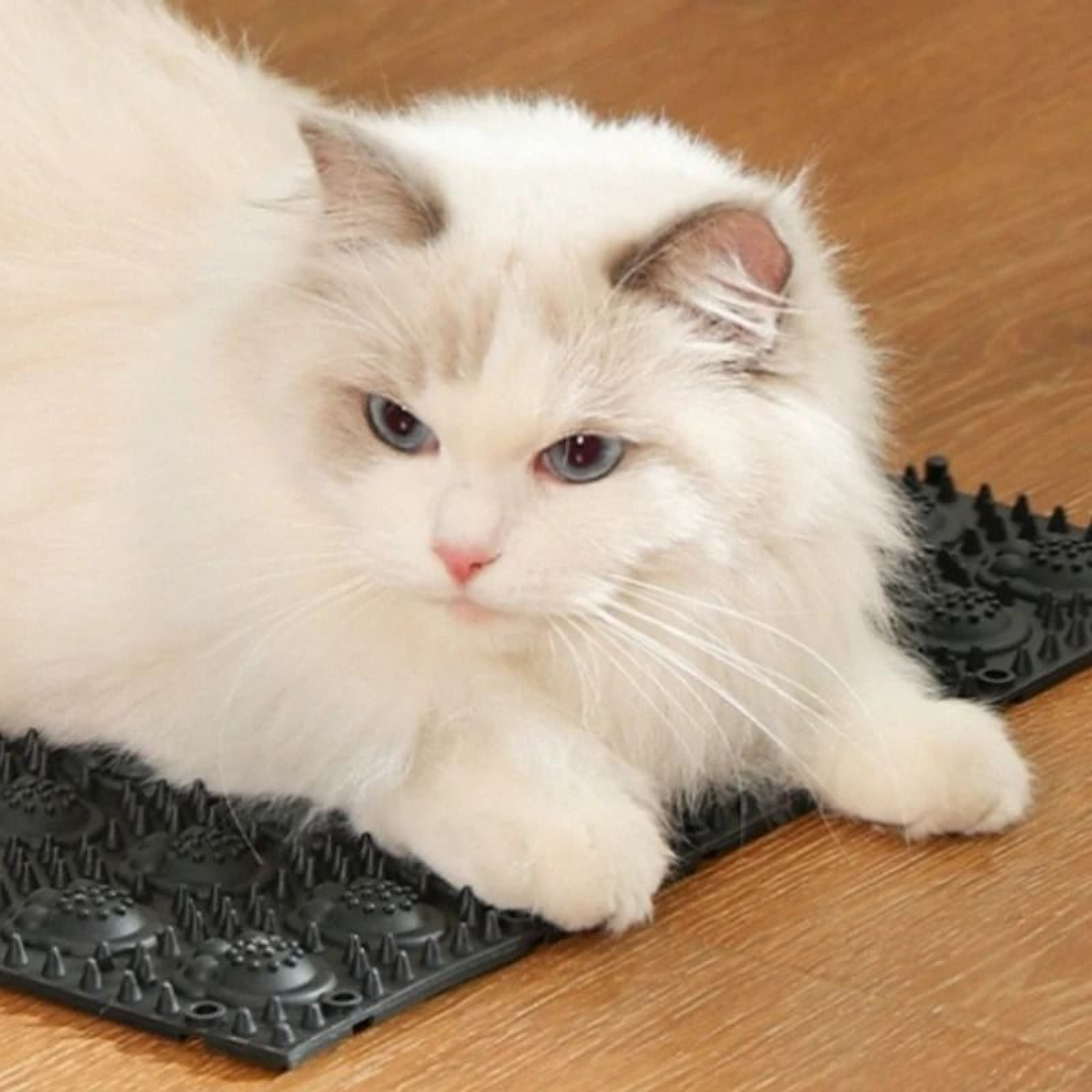 SelfCleaning Cat Grooming Massage Comb For Hair Removal  Gentle Fur Care 1