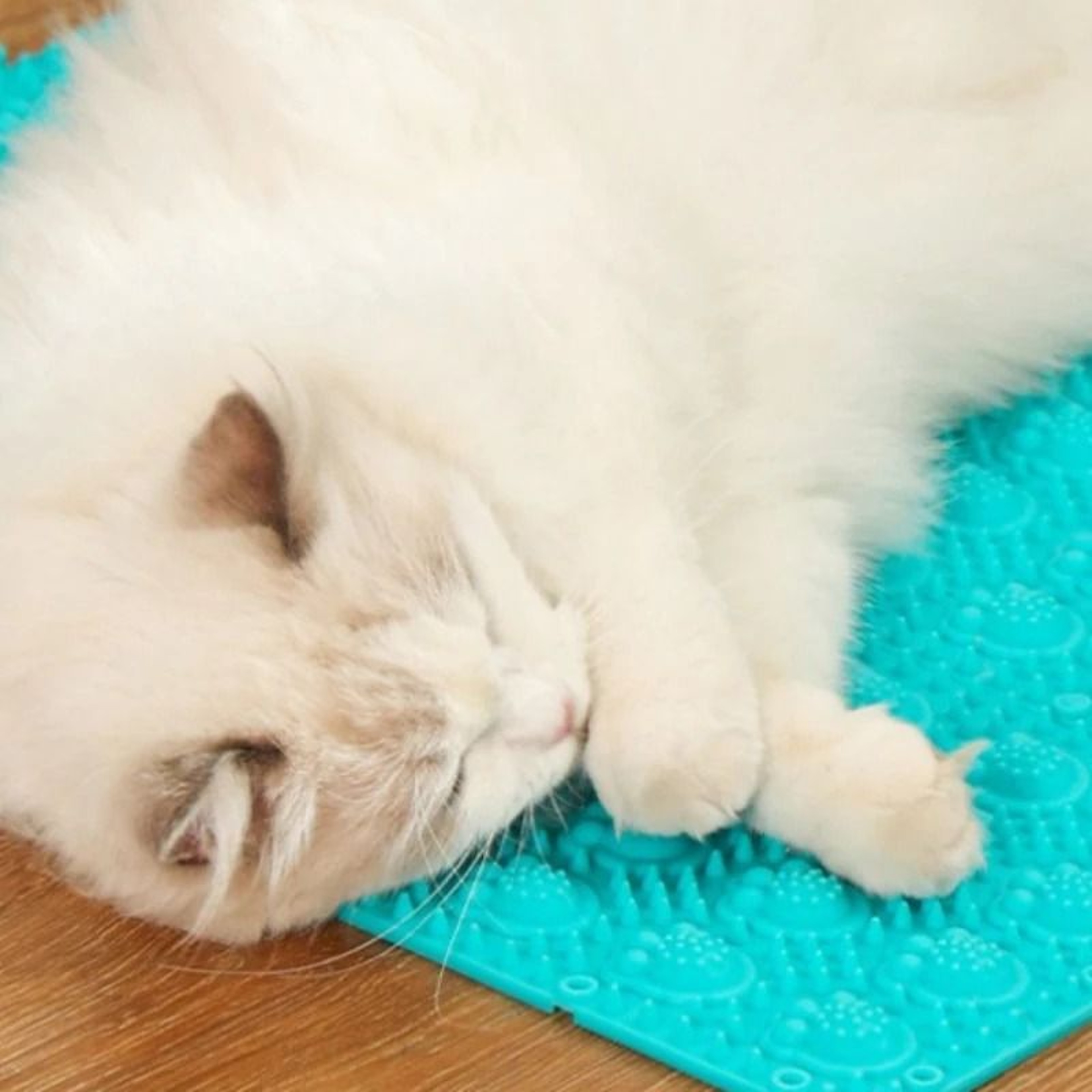 SelfCleaning Cat Grooming Massage Comb For Hair Removal  Gentle Fur Care 5