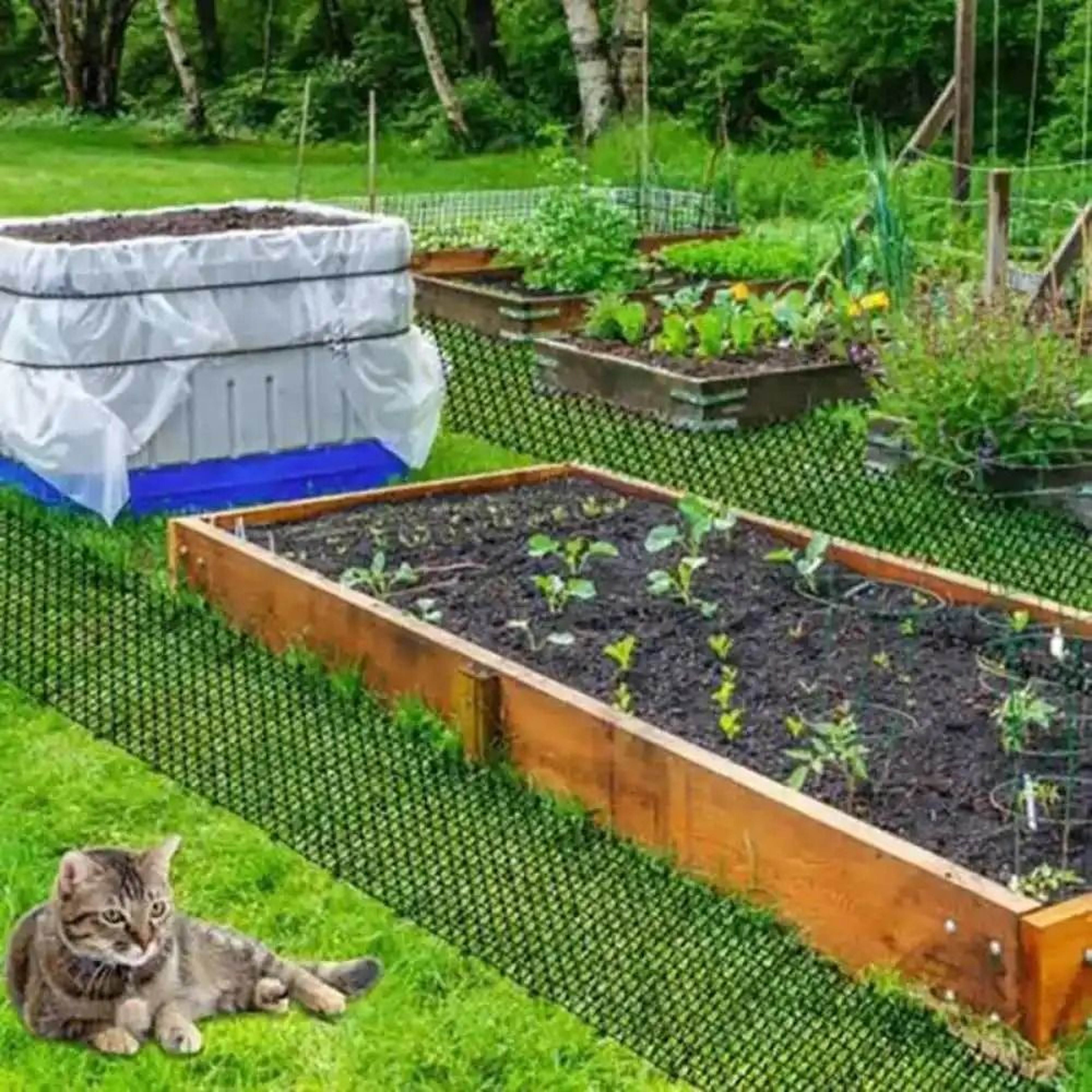 Humane Cat Scat Mat AntiDigging Garden Protector Prickle Strip Barrier For Pets 6