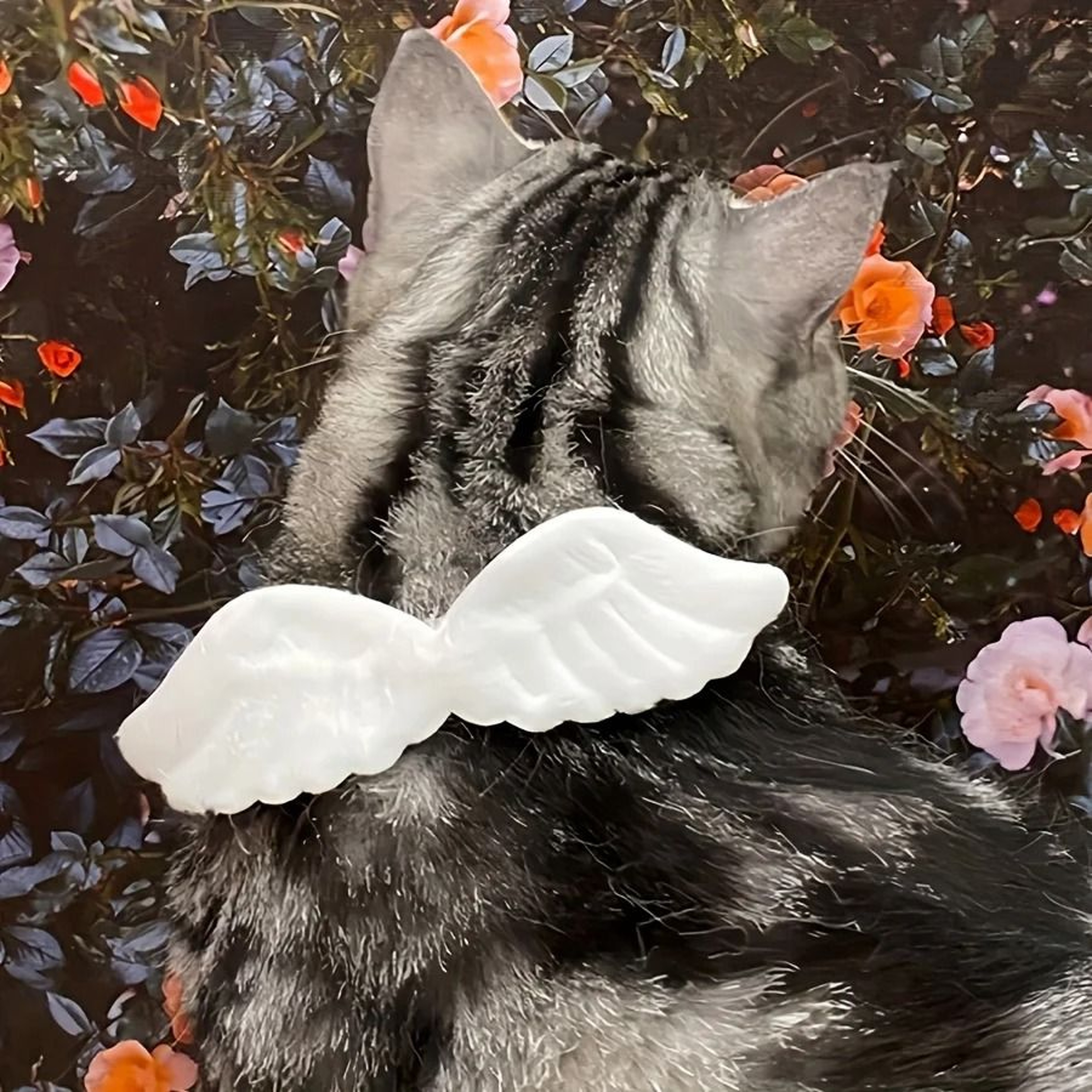 Holiday Angel Wing Pet Collar With Bow Tie Costume For Dogs  Cats 3