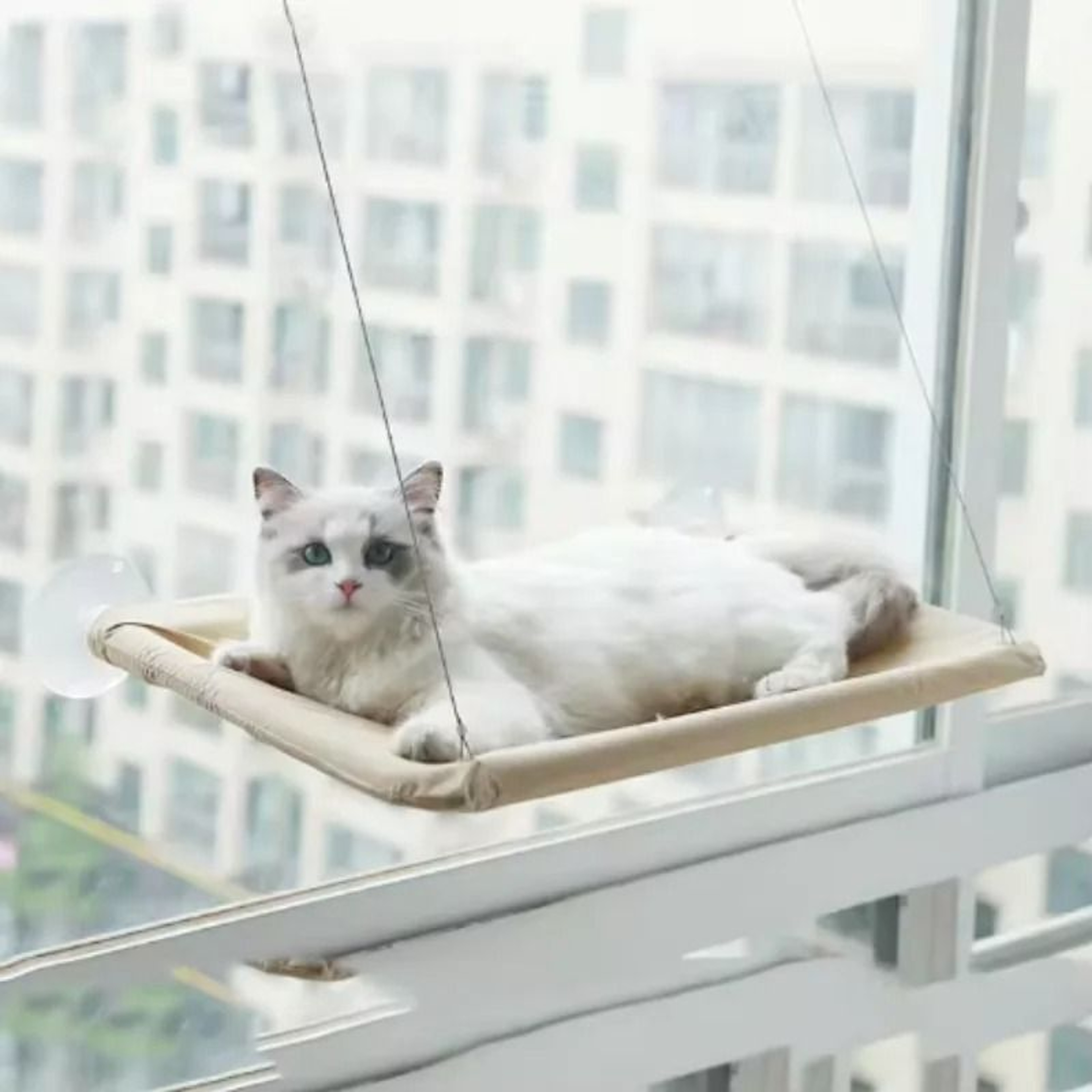 Sunny Window Cat Hammock With 44 Lb Capacity Elevated Hanging Bed  Lounge Perch 4