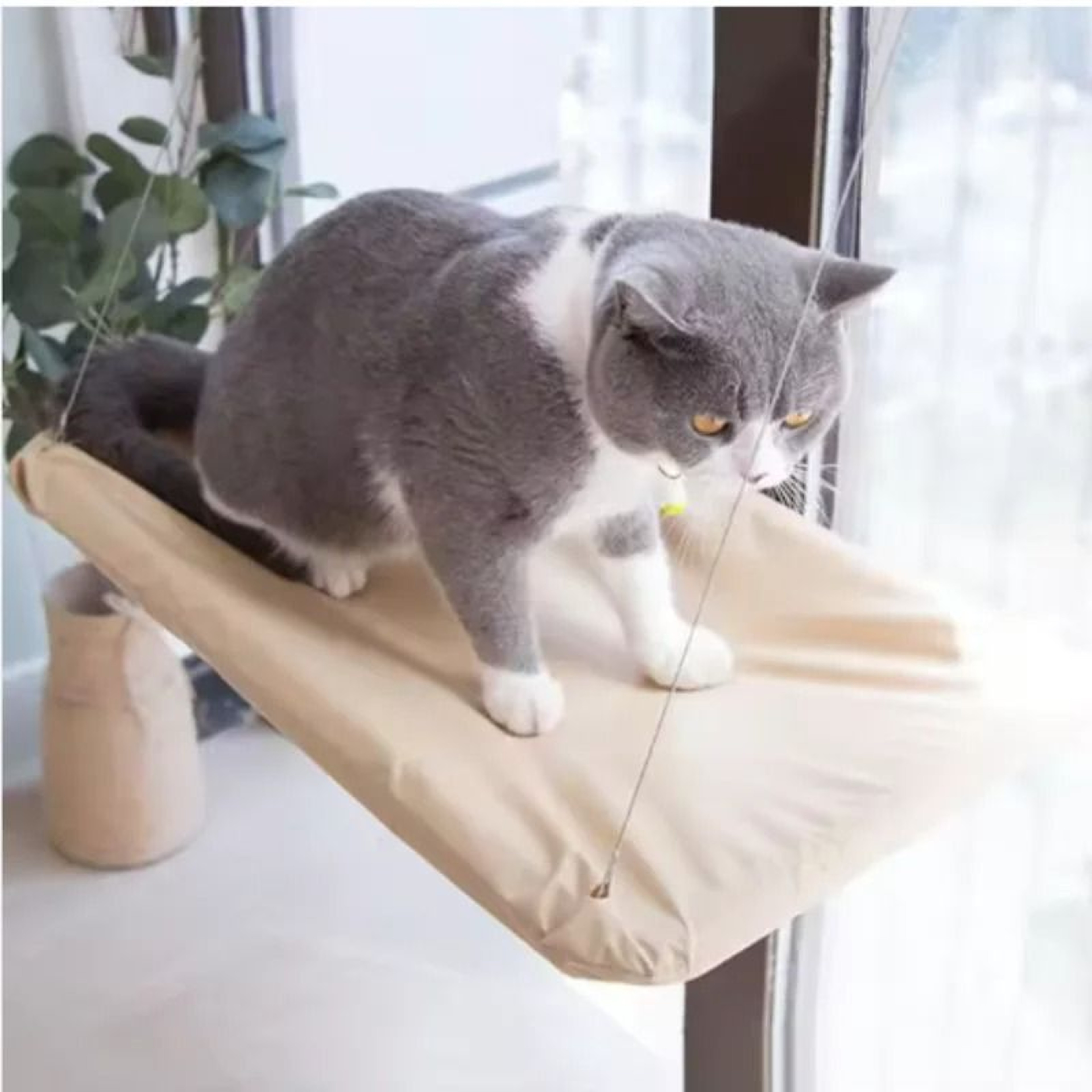 Sunny Window Cat Hammock With 44 Lb Capacity Elevated Hanging Bed  Lounge Perch 5