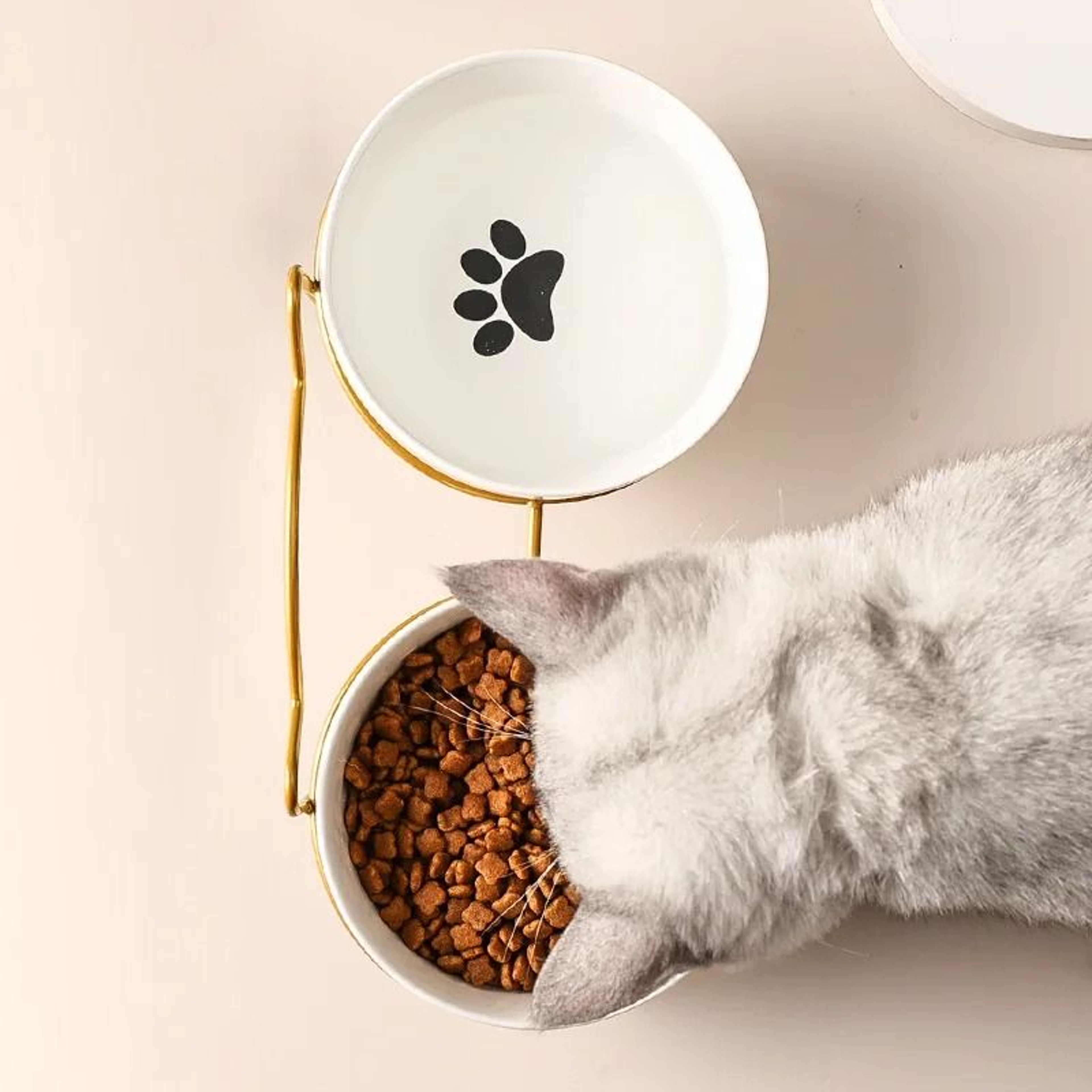 2029 Fl Oz Elevated Ceramic Pet Bowl With Raised Stand For Cats  Small Dogs 2