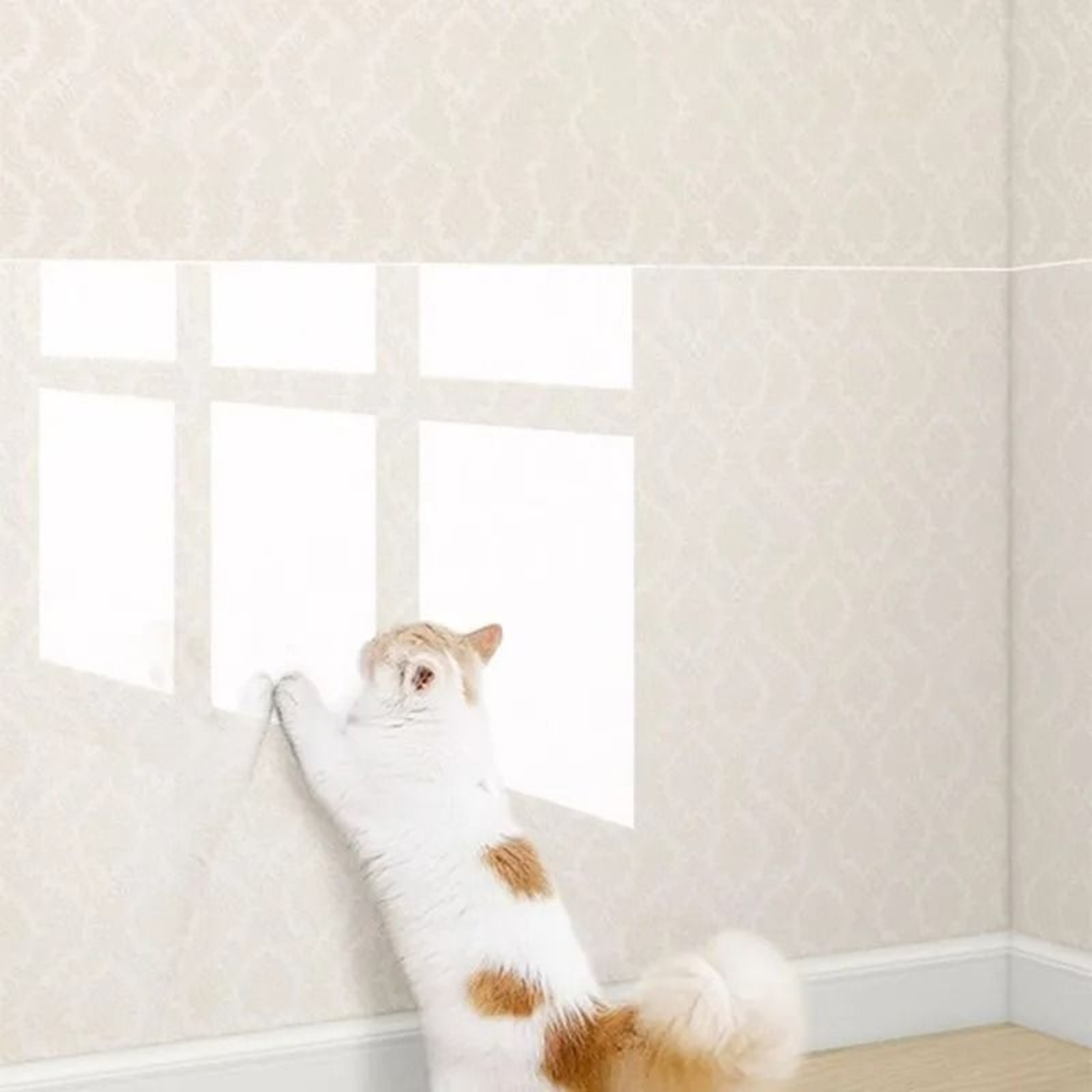 Transparent Cat Scratch Furniture Protector Sheets SelfAdhesive Sofa  Wall Guards 1