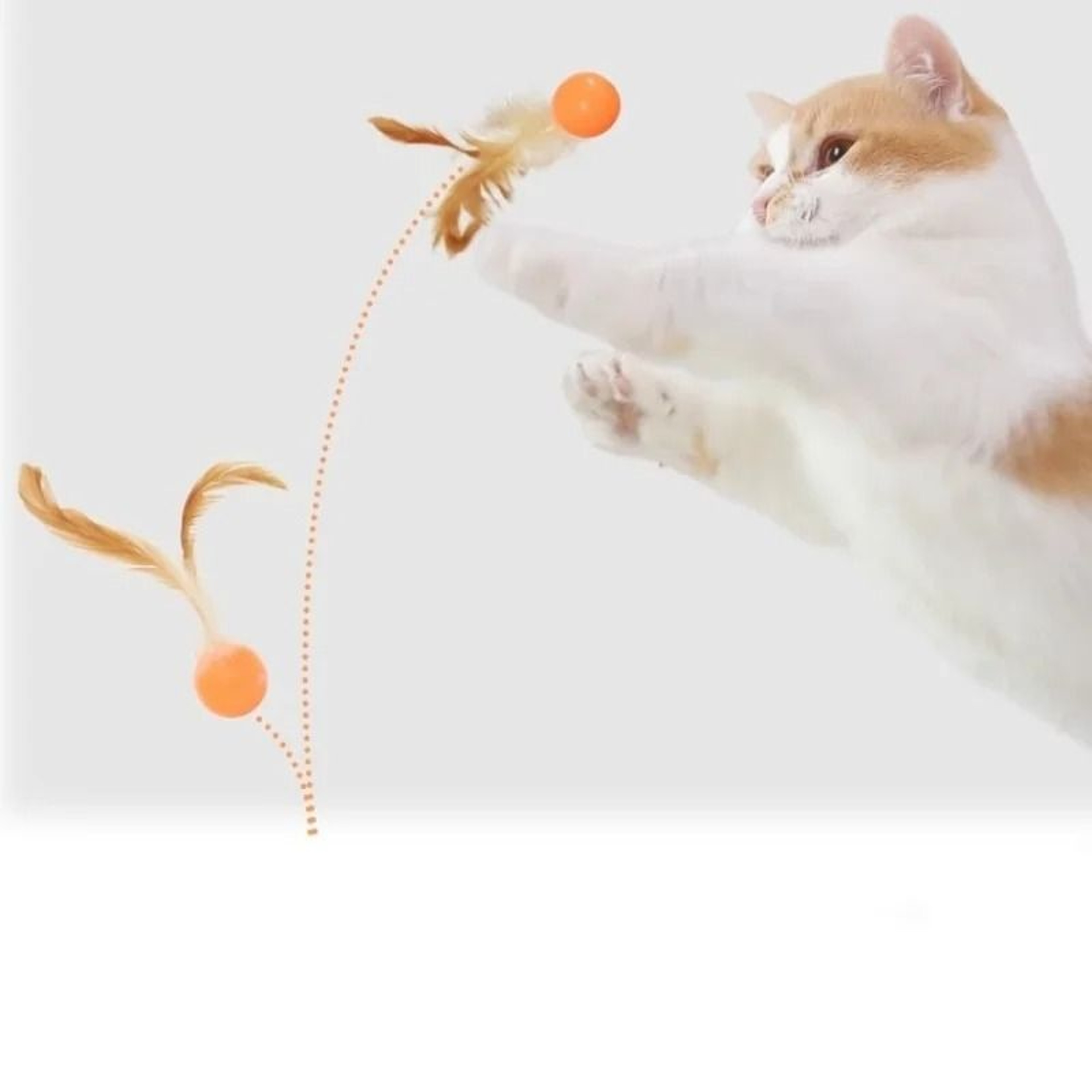 Feather Bounce Sports Ball Interactive Cat Toy For Active Kittens  Pets 6