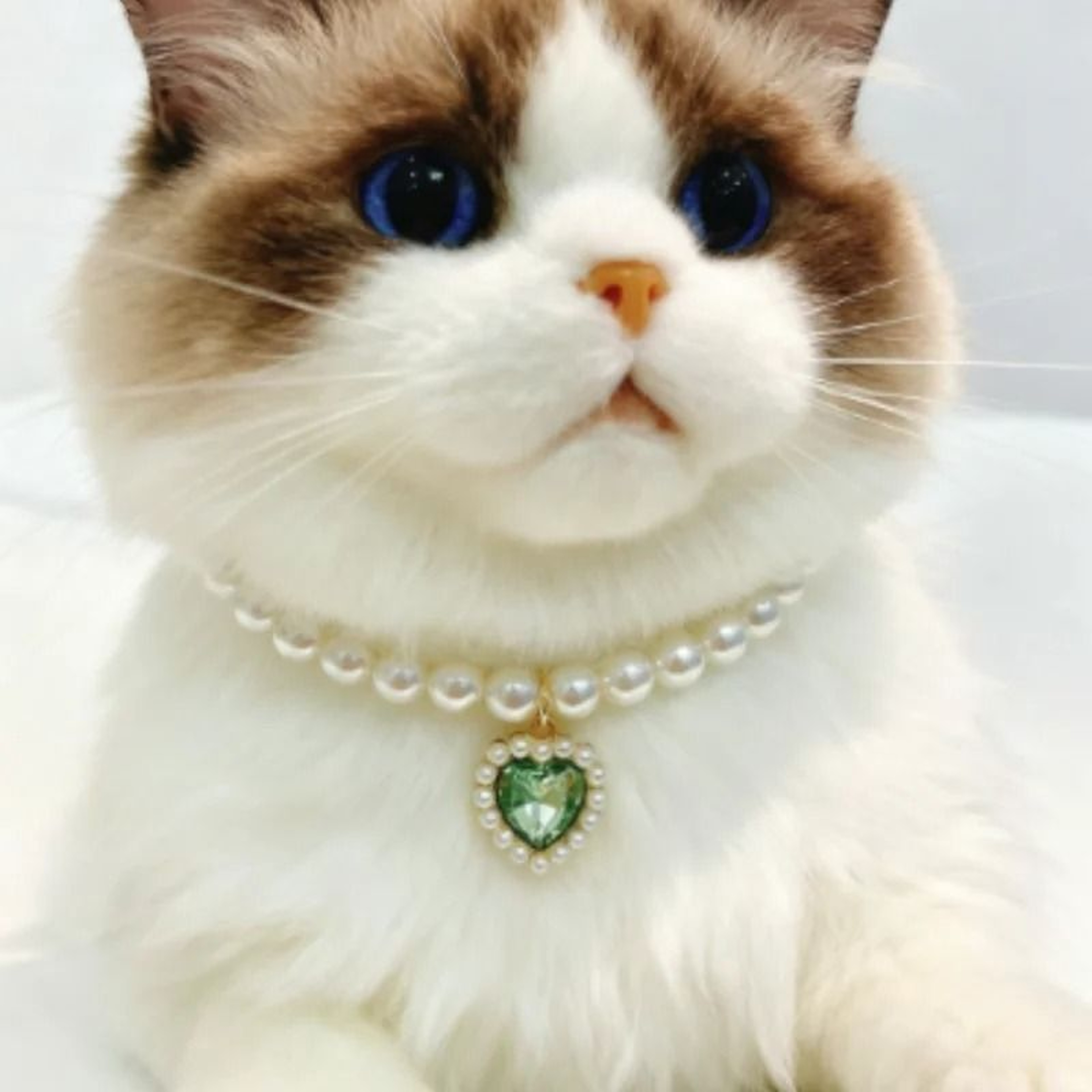 Luxury Pearl Cat Collar Necklace For Kittens  Small Pets 3