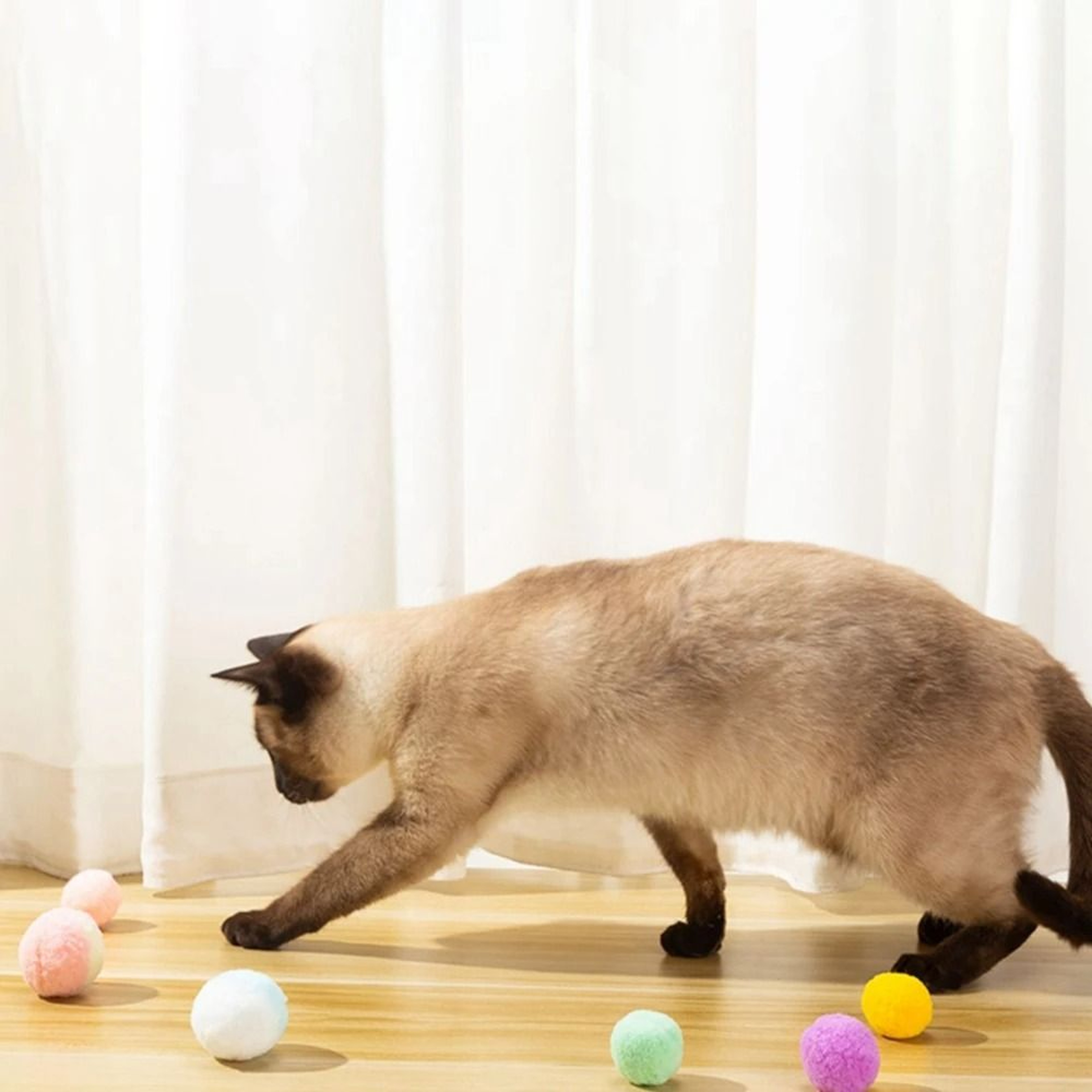 Soft Pom Pom Cat Toy Balls For Interactive Chasing Batting  Indoor Play 4