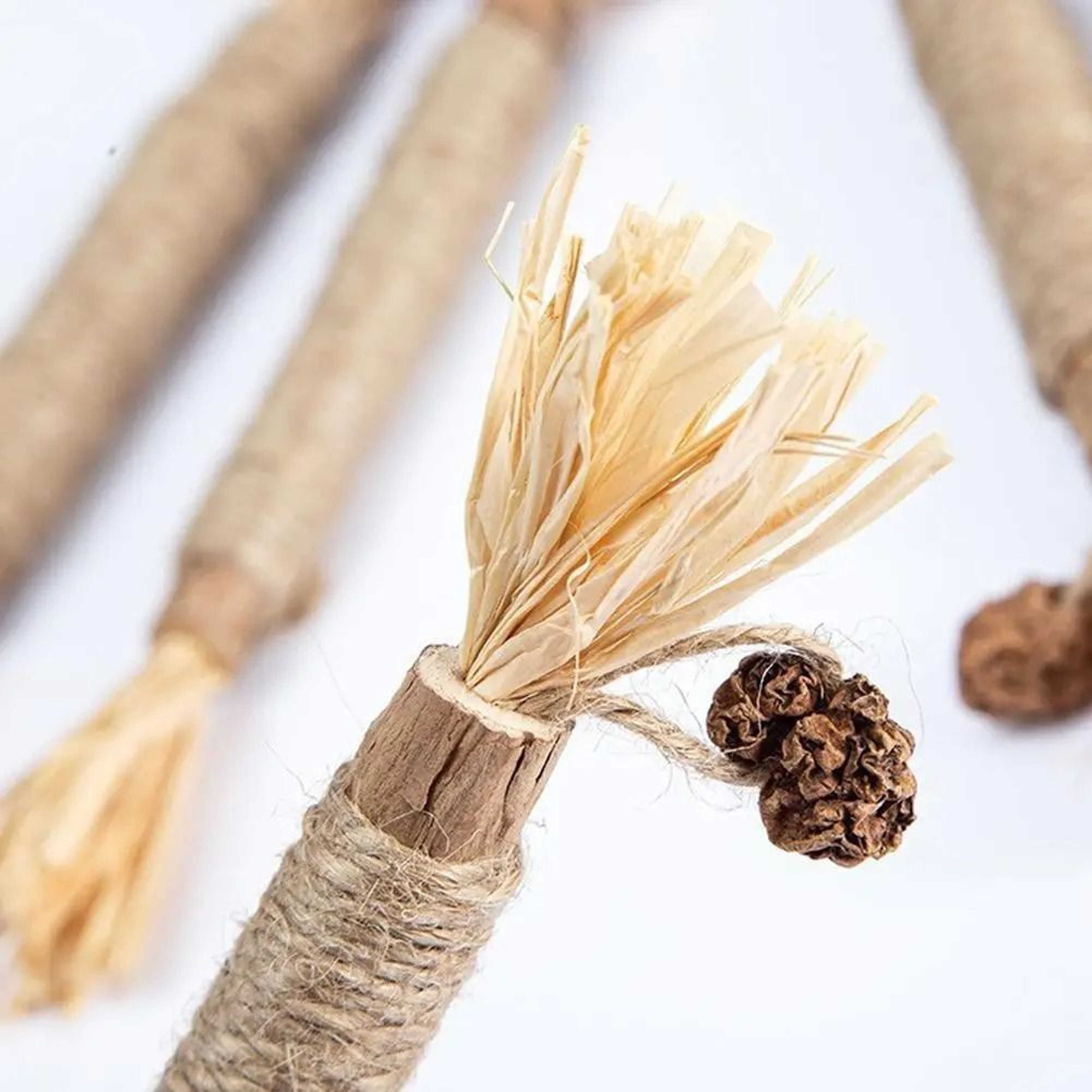 Natural Cat Mint Teeth Cleaning Chew Stick Toy With Rope For Cats 2