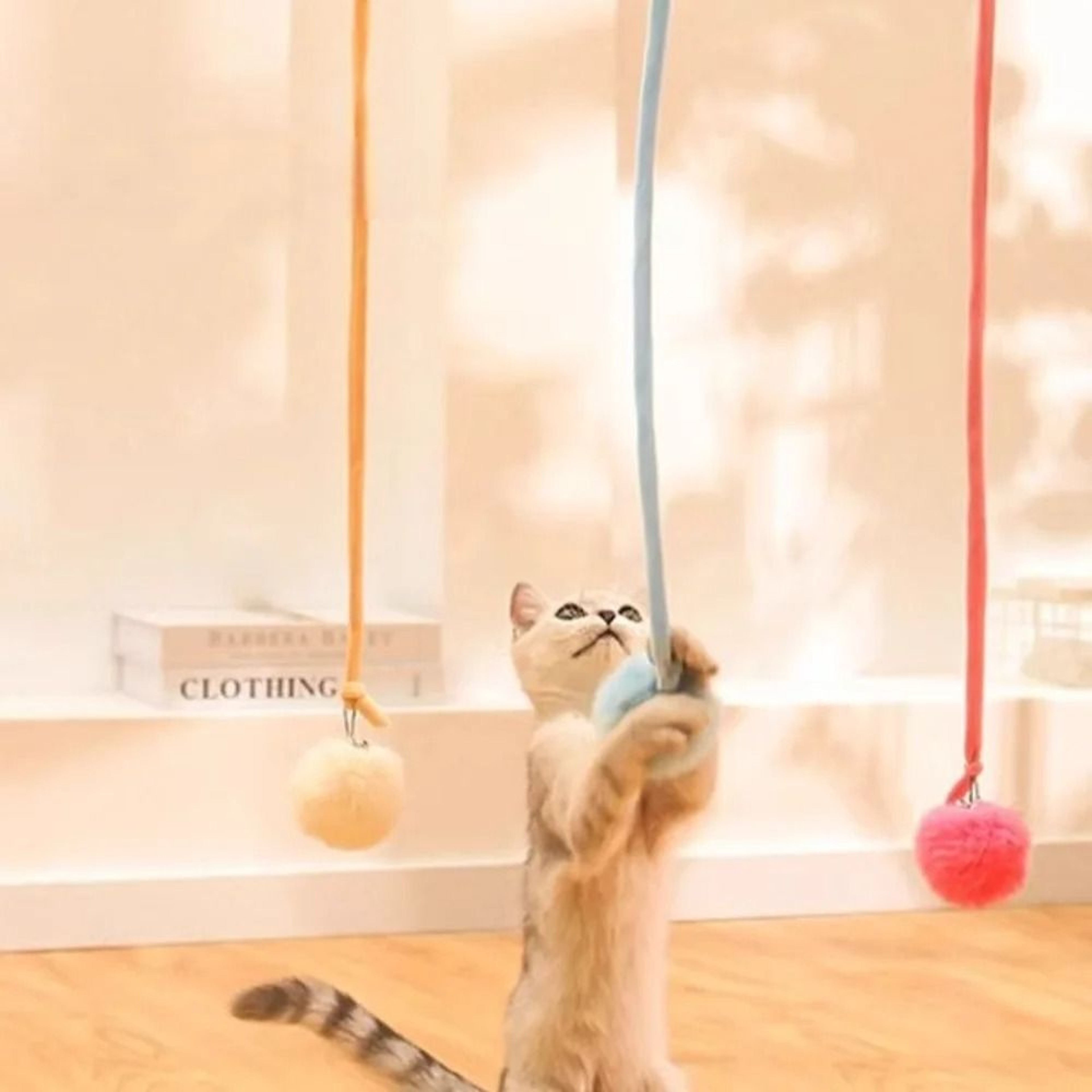 Wall Mount Suction Cup Cat Teaser Toy With Bunny Fur Ball  Spring Bouncer 1