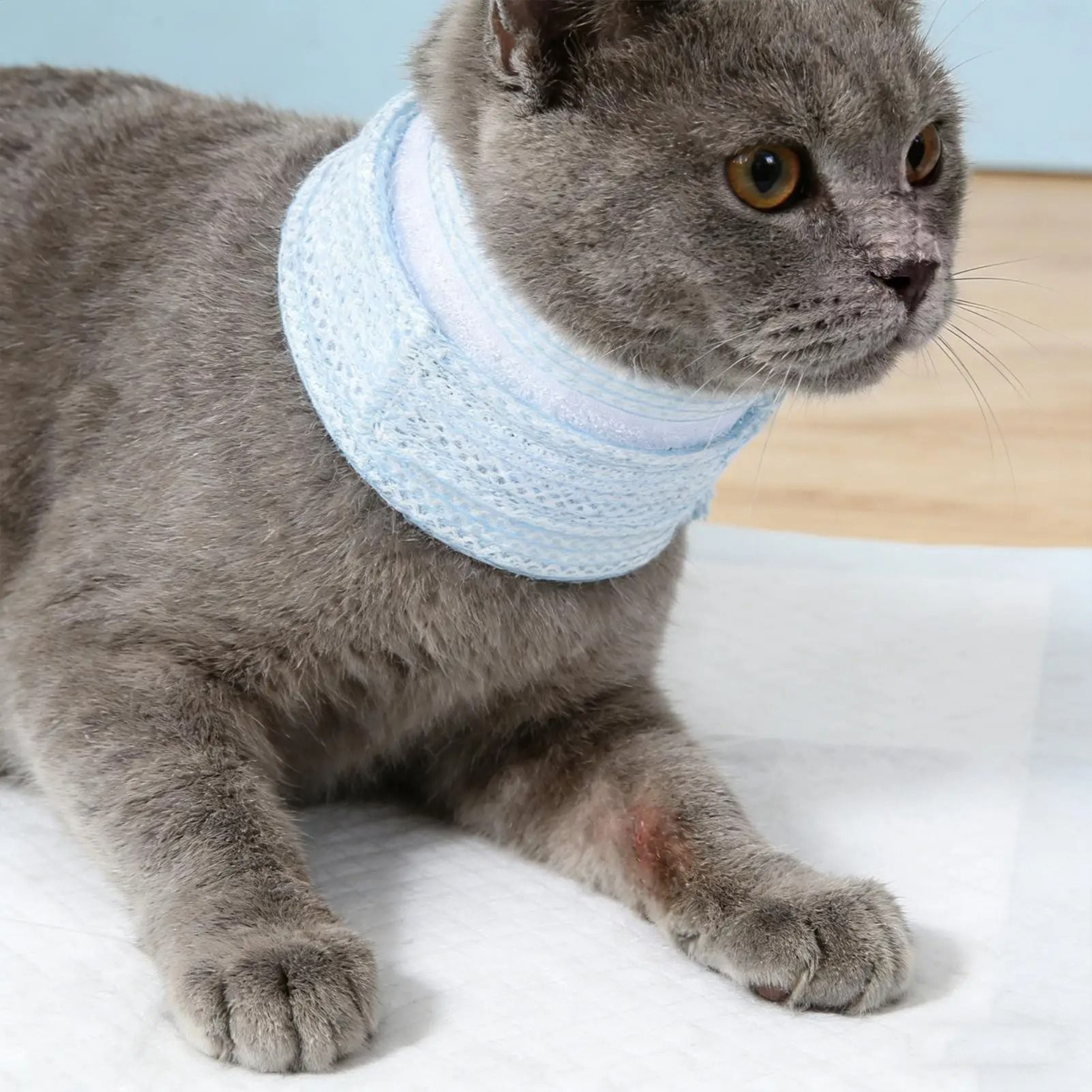 Waterproof Cat Recovery Collar Neck Brace For Wound Protection  Comfortable Healing 1