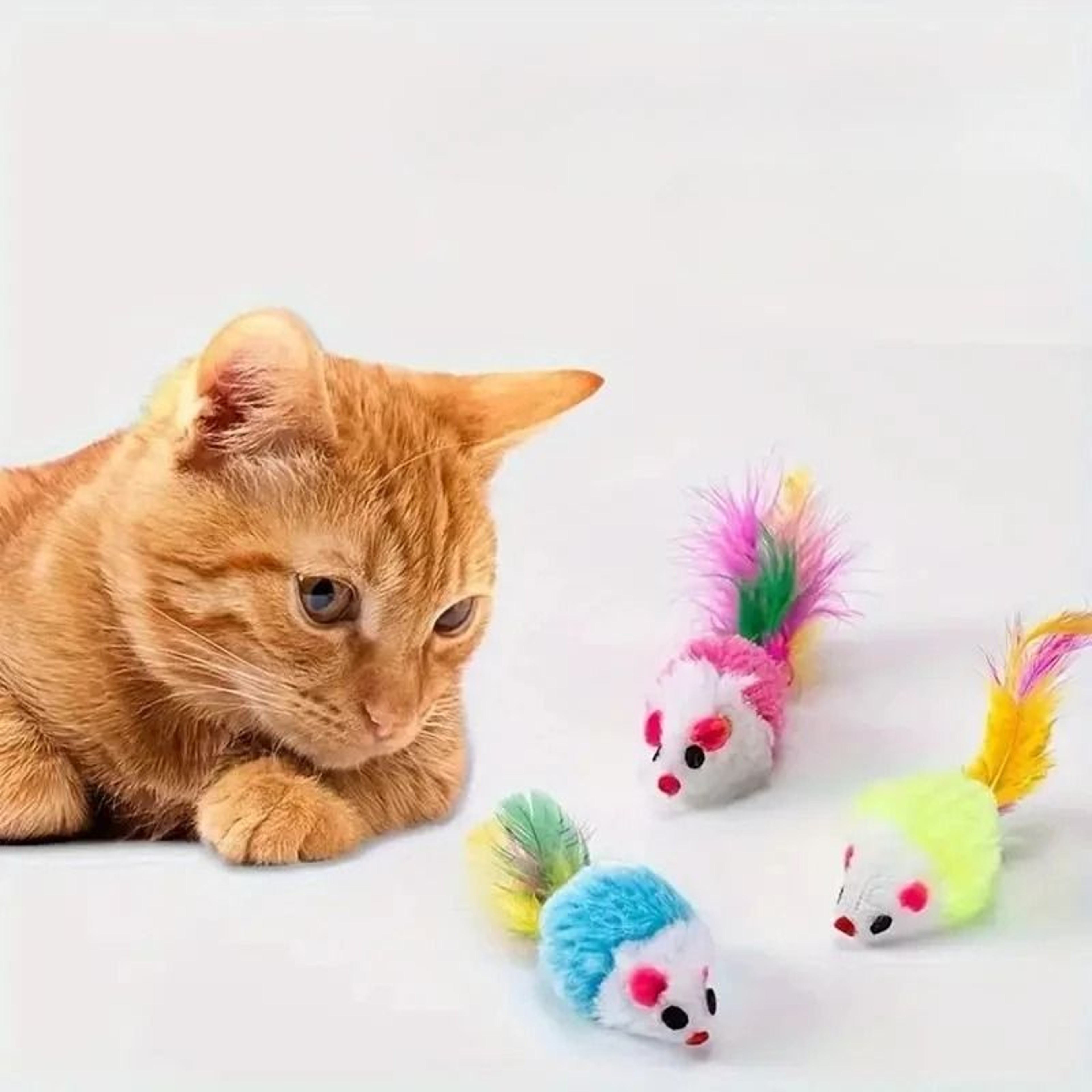 WhiskerHunt Rattle Mouse Cat Toy Set  Interactive Plush Mice For Chasing Pouncing  Indoor Play 0