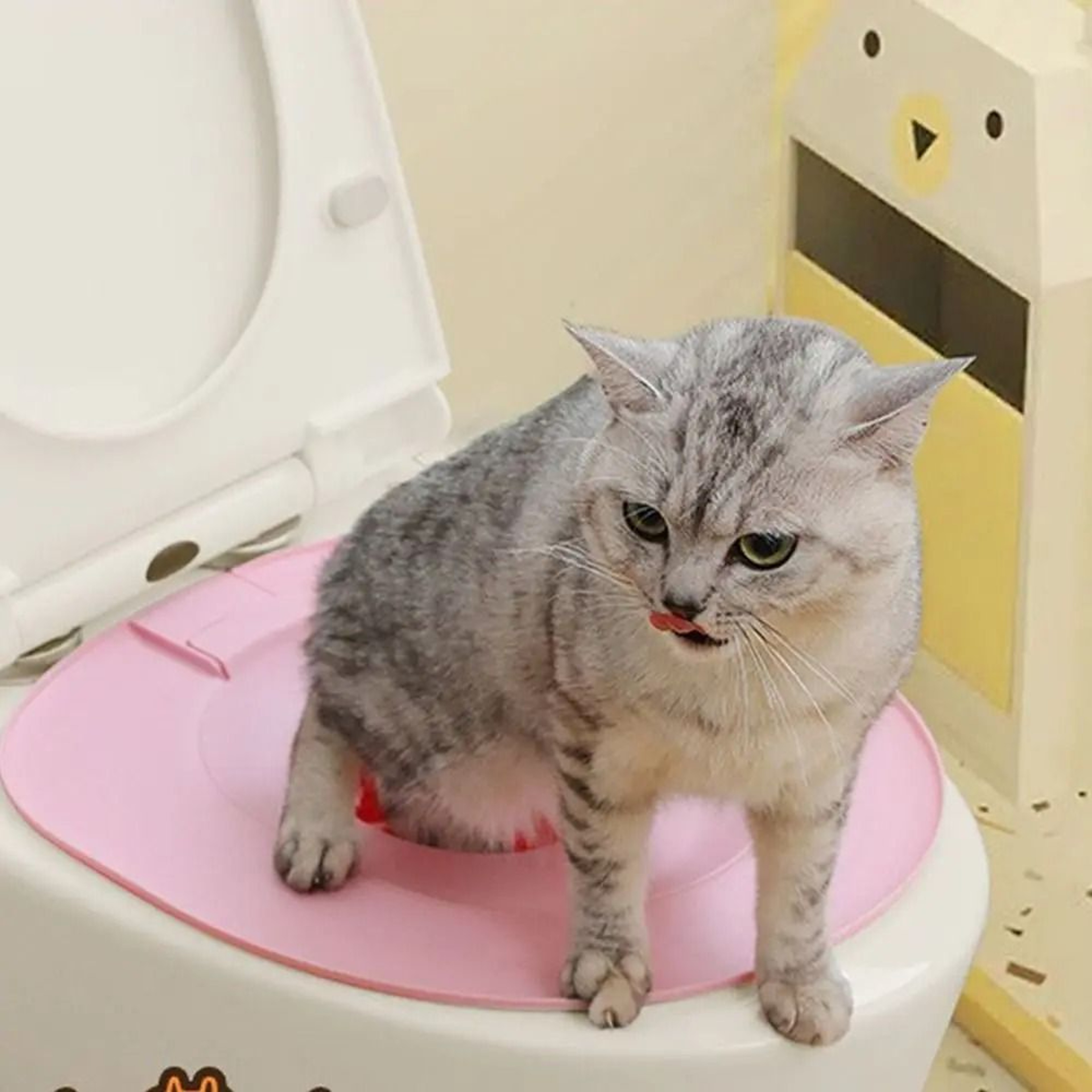 PottyPro Cat Toilet Training System For Cats  Kittens 0