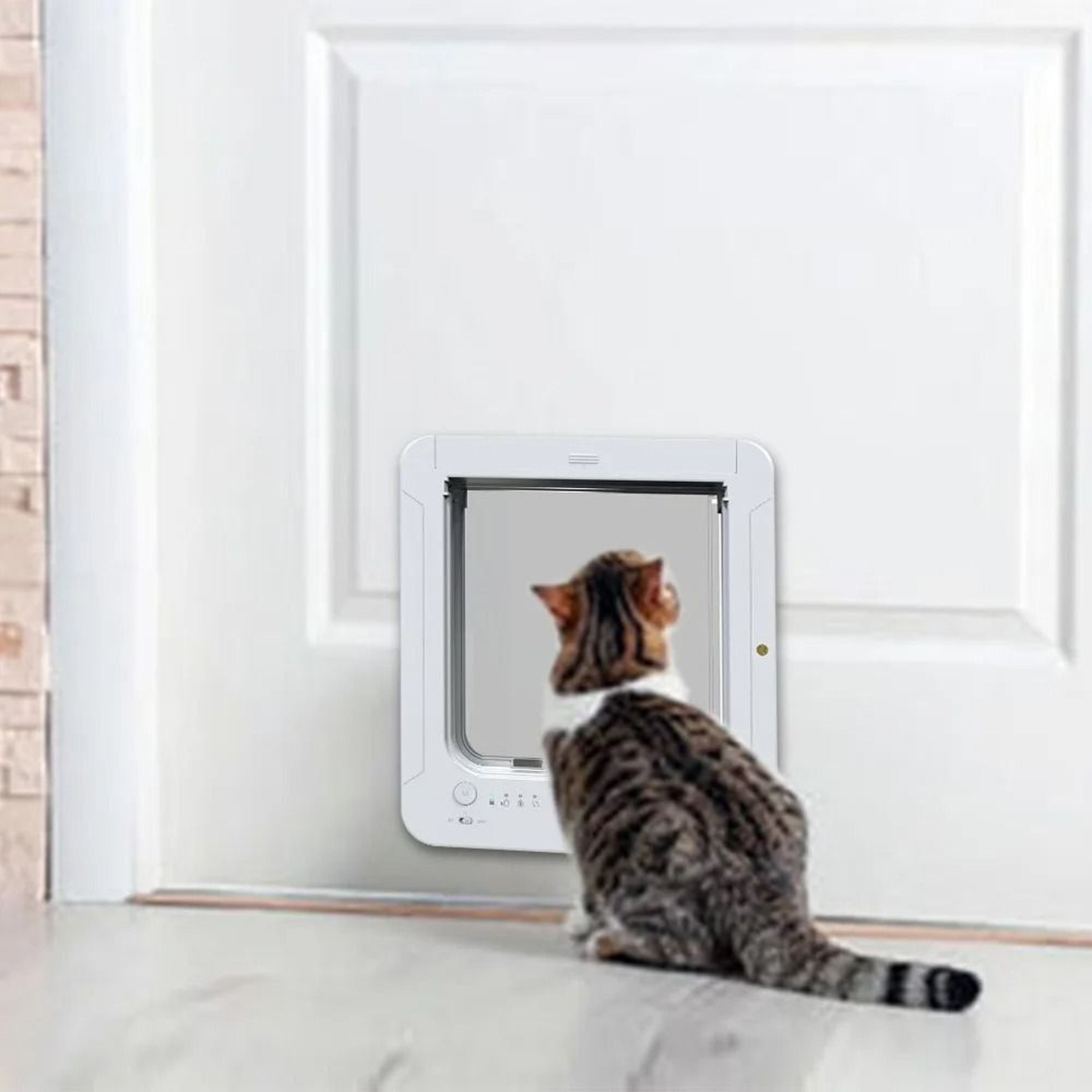 Smart Microchip Pet Door With Direction Control  Automatic Sensor Access 3